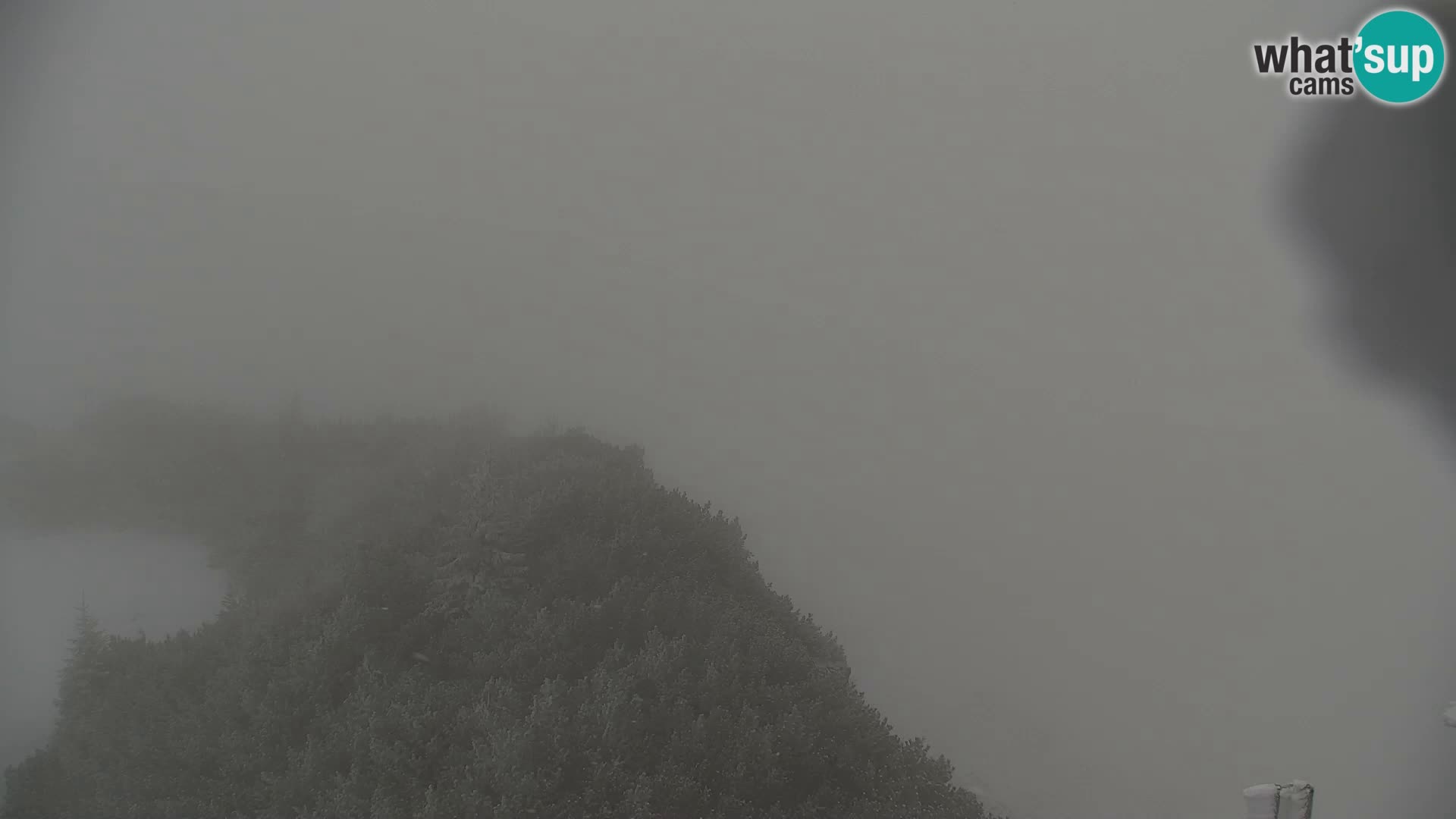 Velika Planina | Gradišče