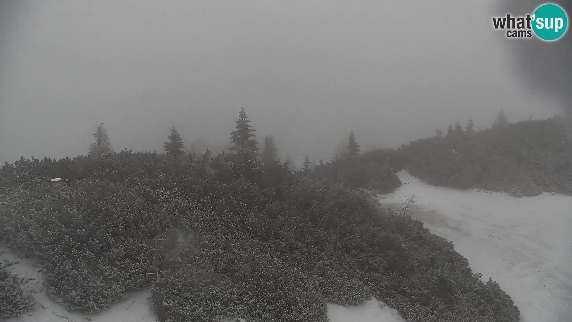 Velika Planina | Gradišče