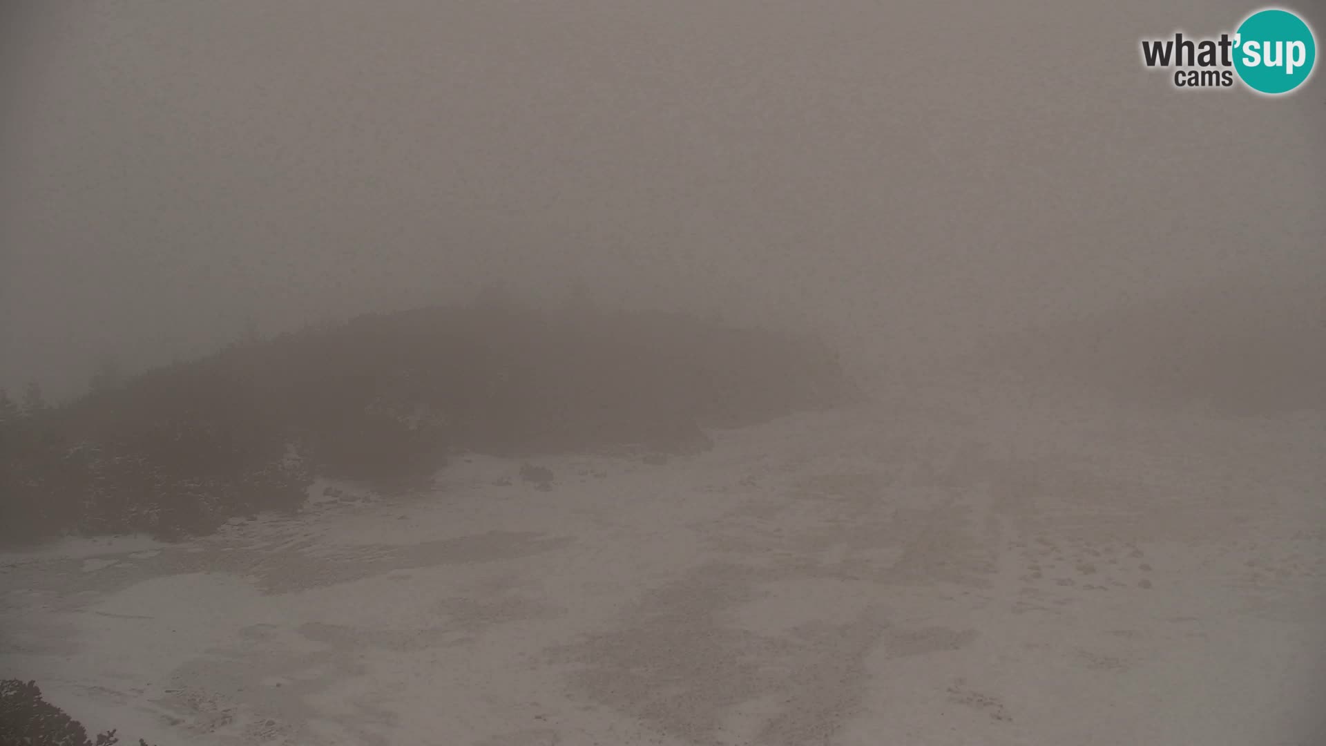 Velika Planina | Gradišče