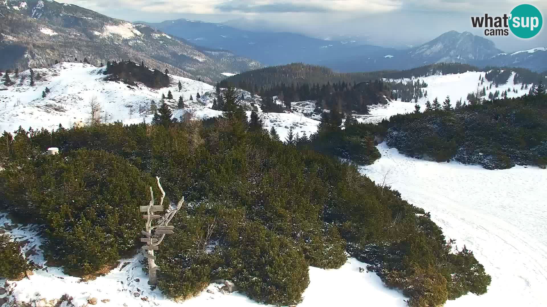 Velika Planina | Gradišče