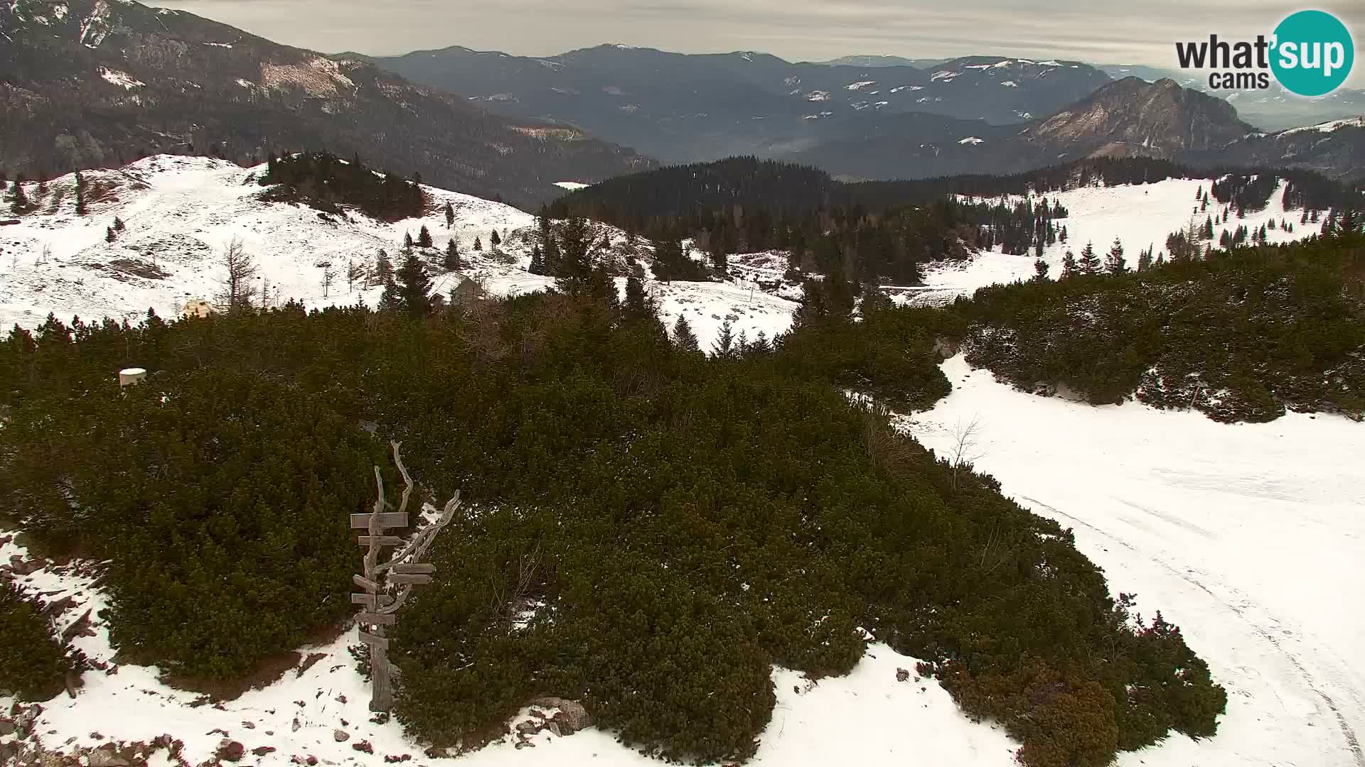 Velika Planina | Gradišče