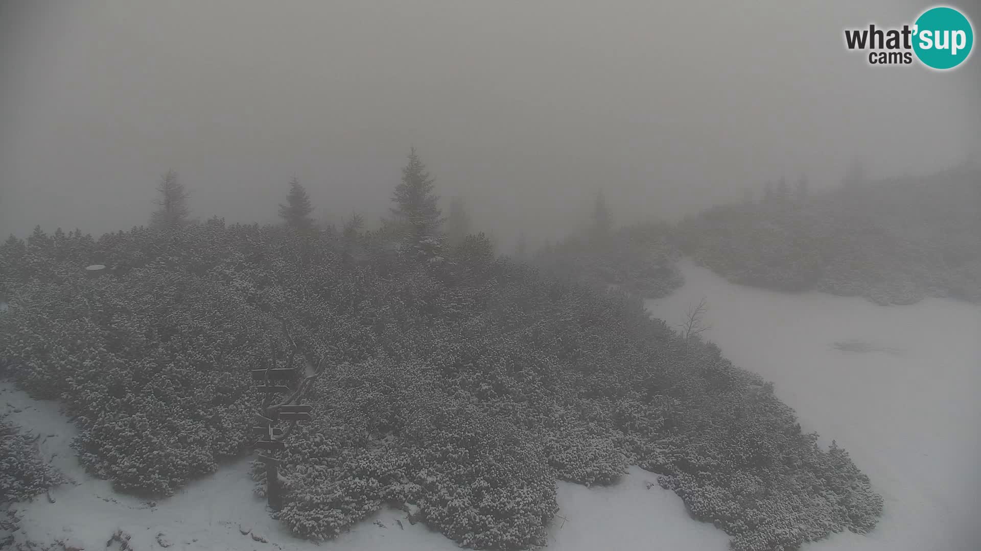 Velika Planina | Gradišče