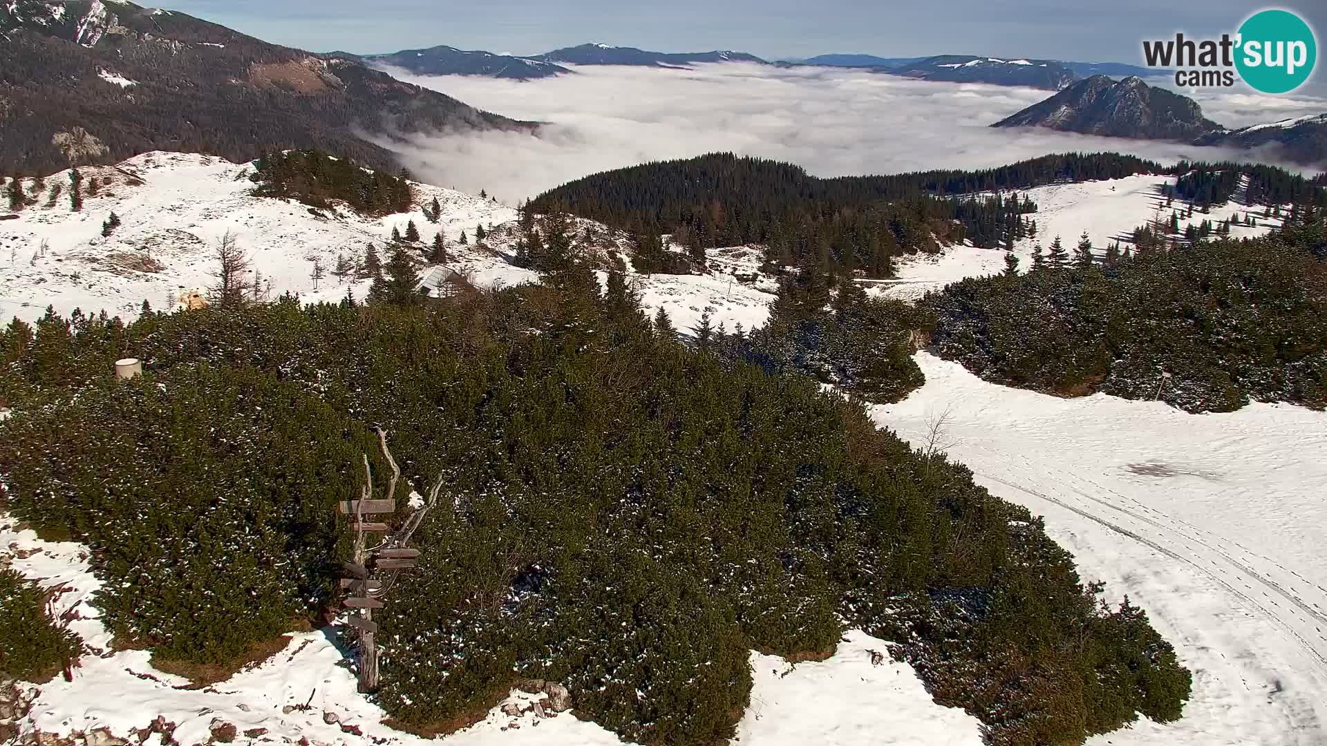 Velika Planina | Gradišče