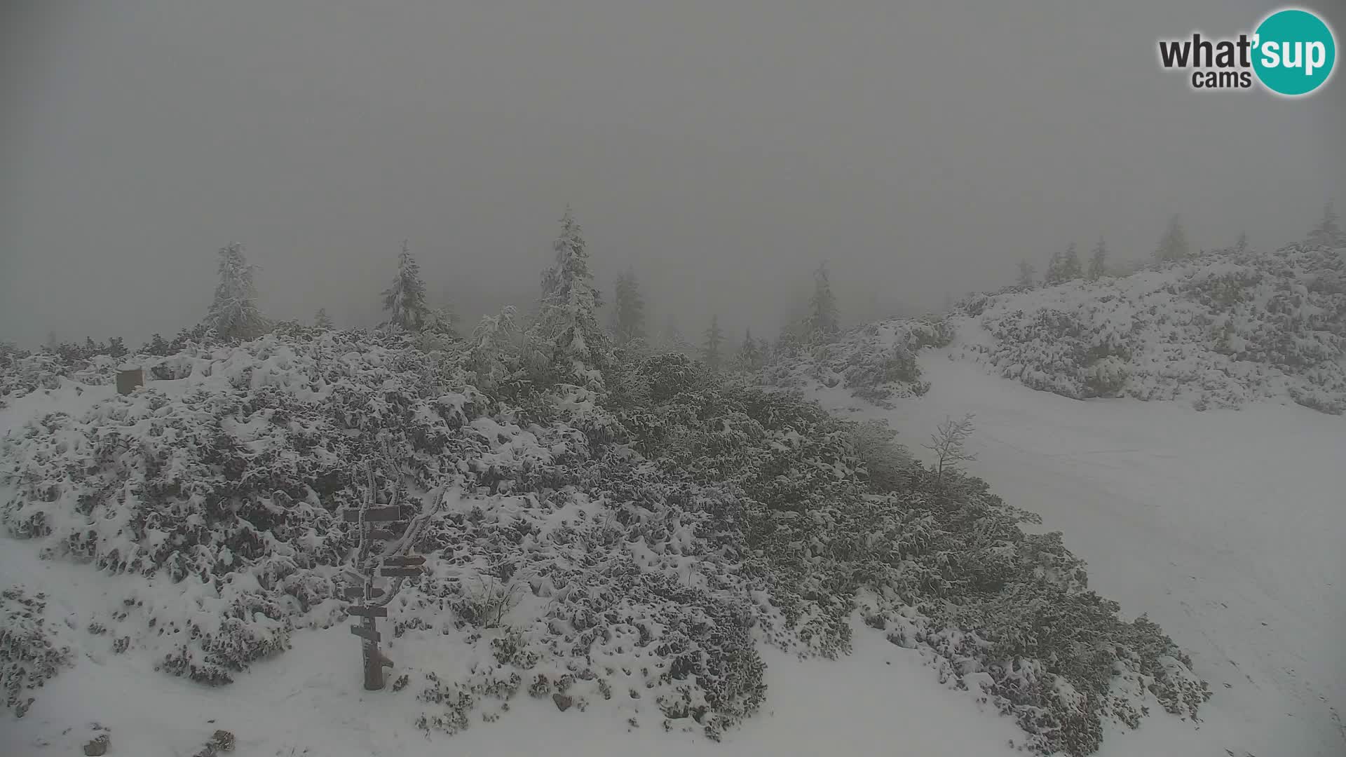 Velika Planina | Gradišče