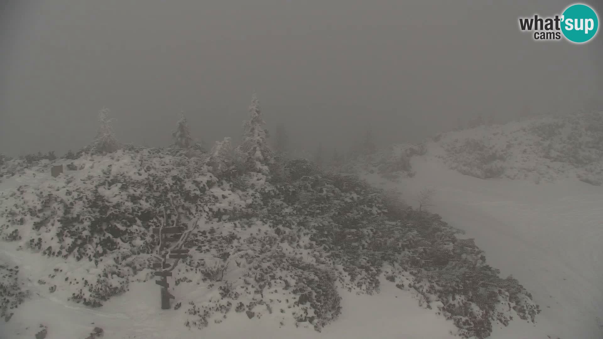 Velika Planina | Gradišče