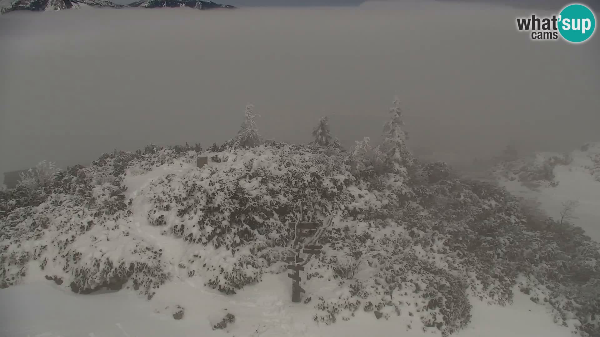 Velika Planina | Gradišče