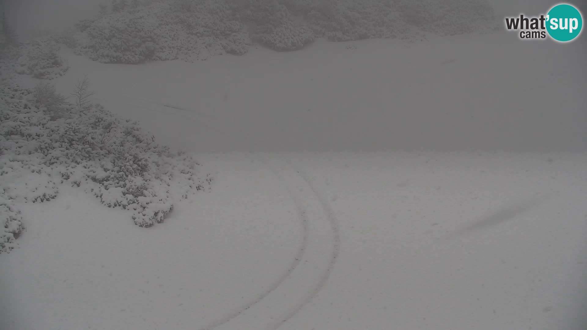 Velika Planina | Gradišče