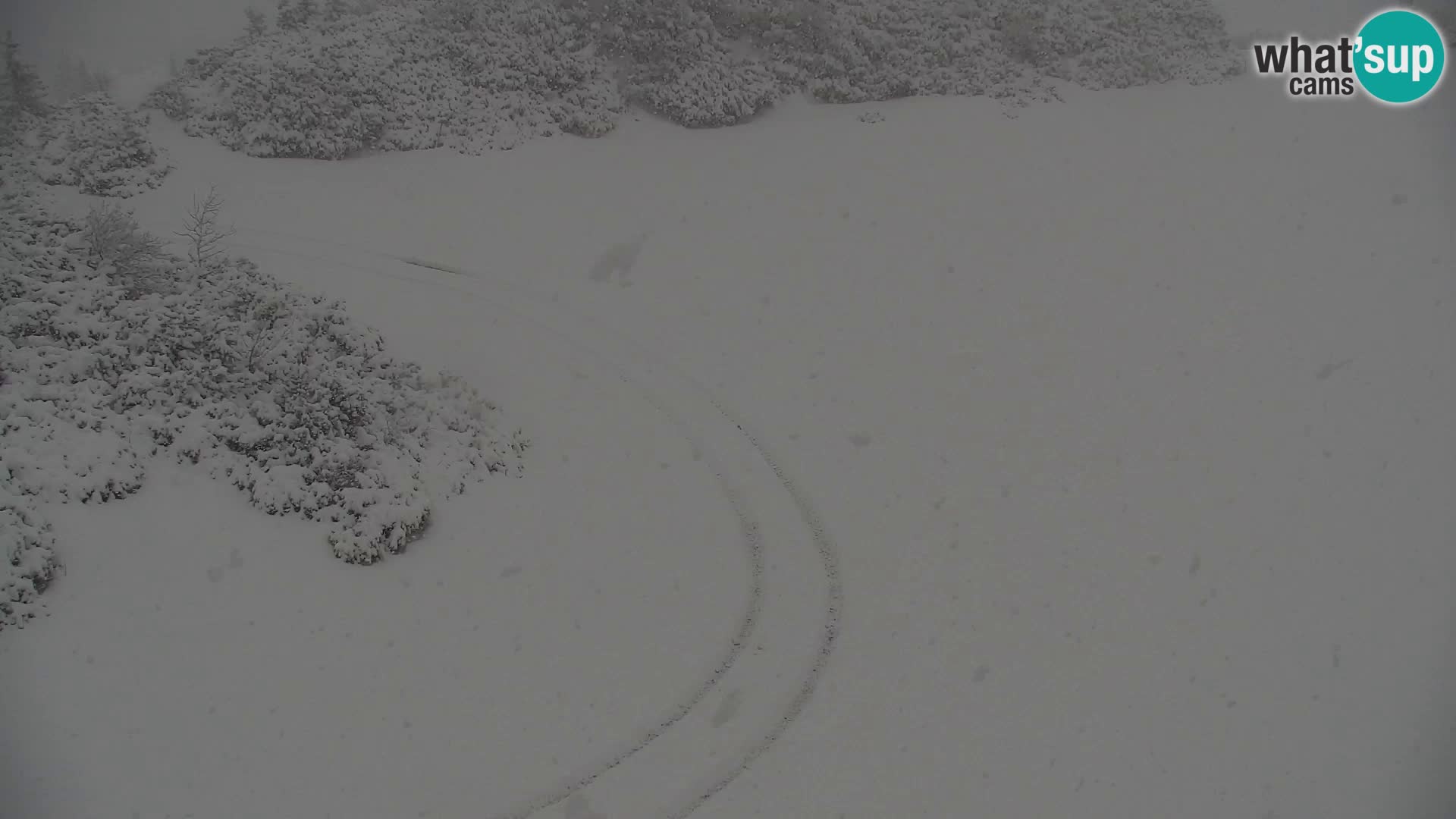 Velika Planina | Gradišče