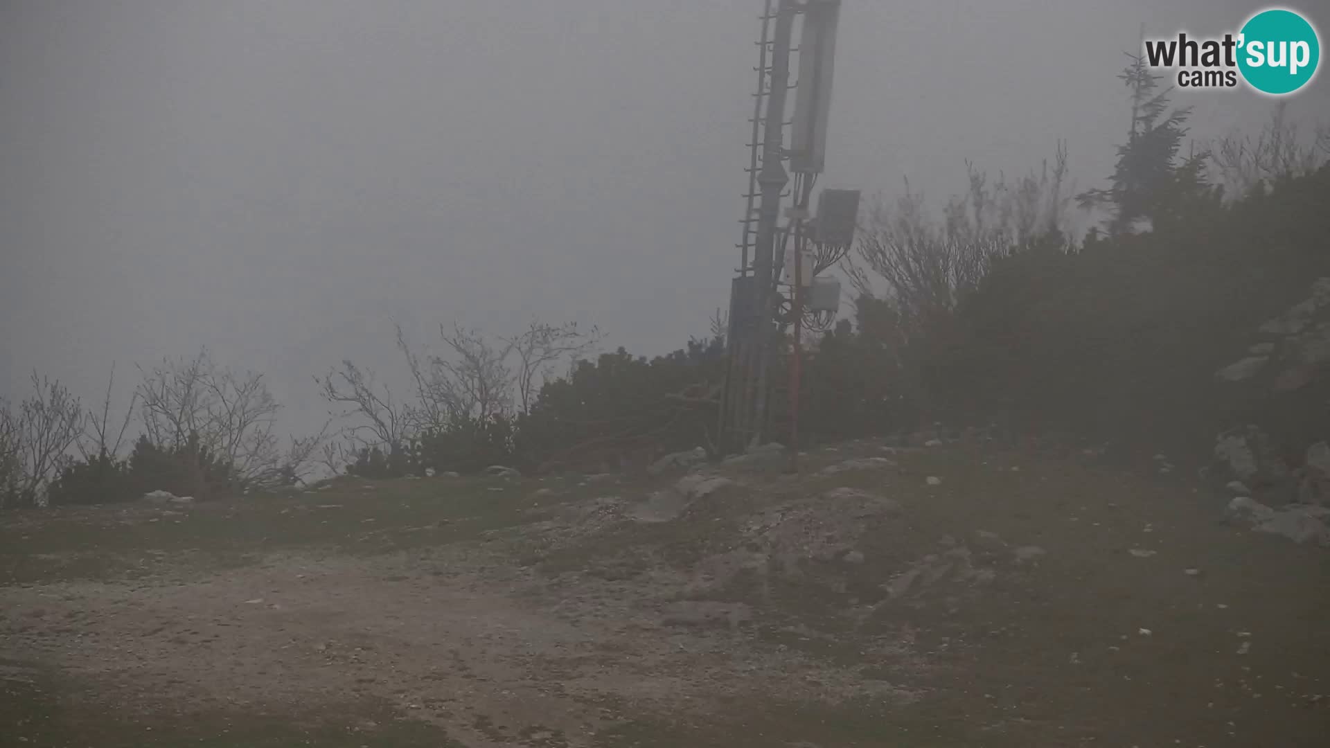 Velika Planina | Gradišče