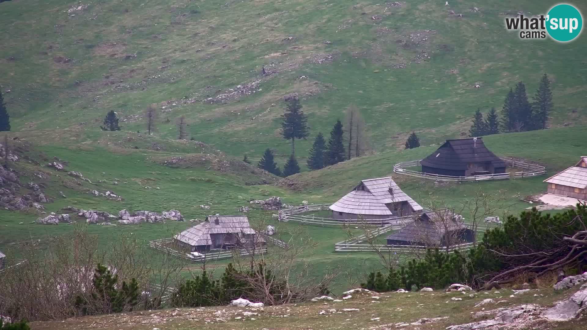Velika Planina | Gradišče