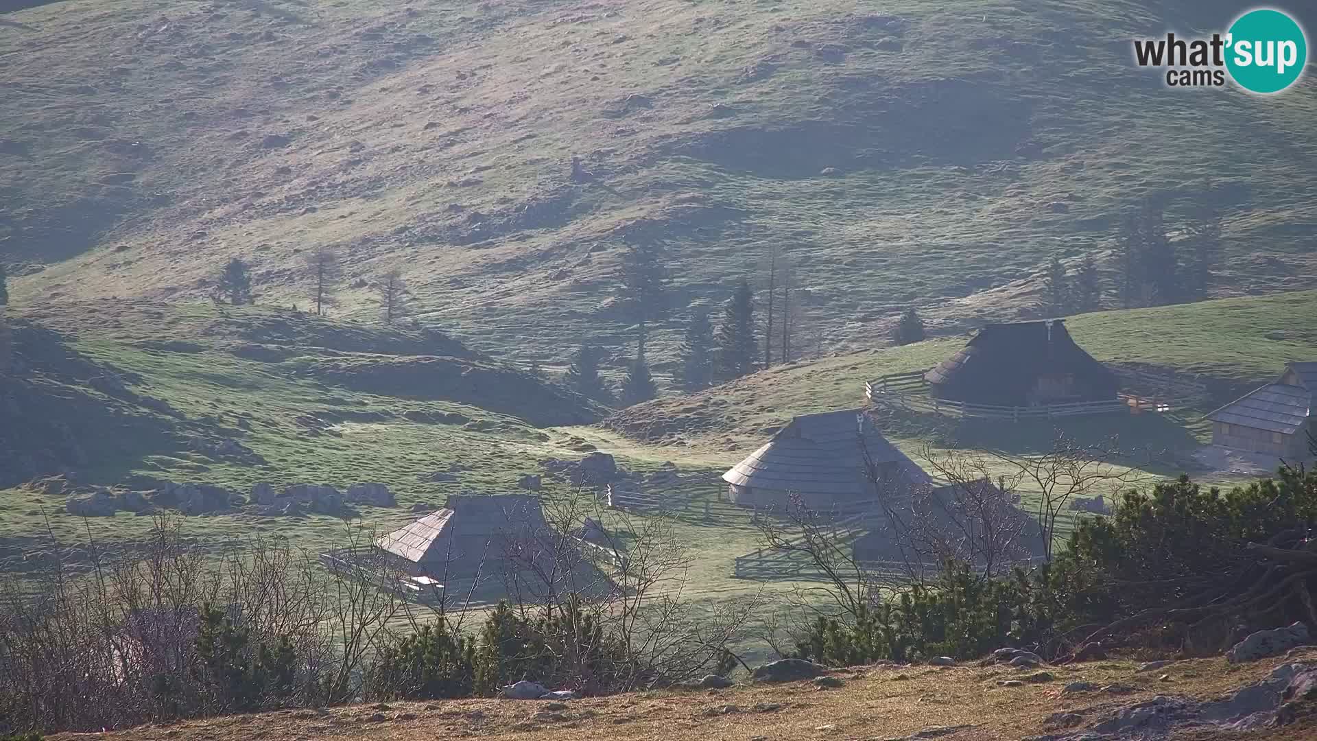 Velika Planina | Gradišče