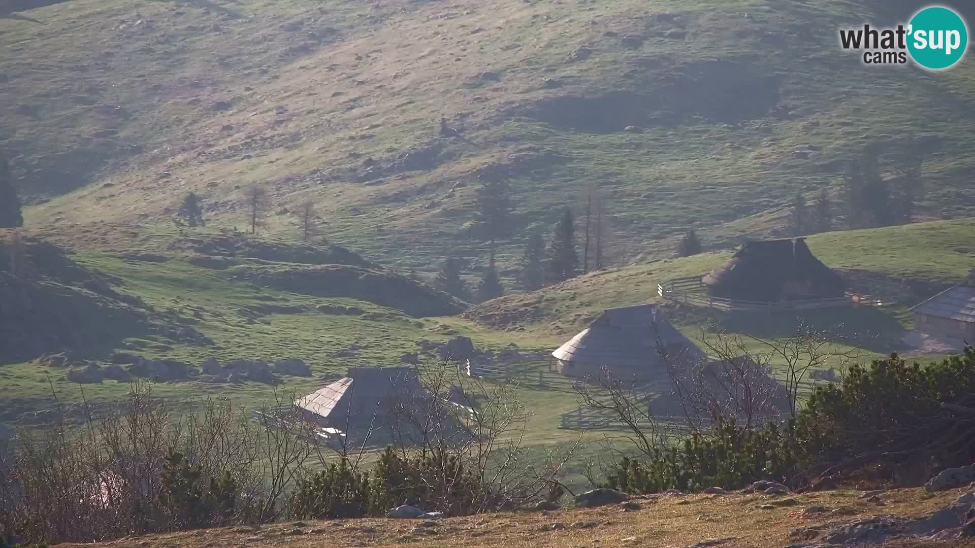 Velika Planina | Gradišče