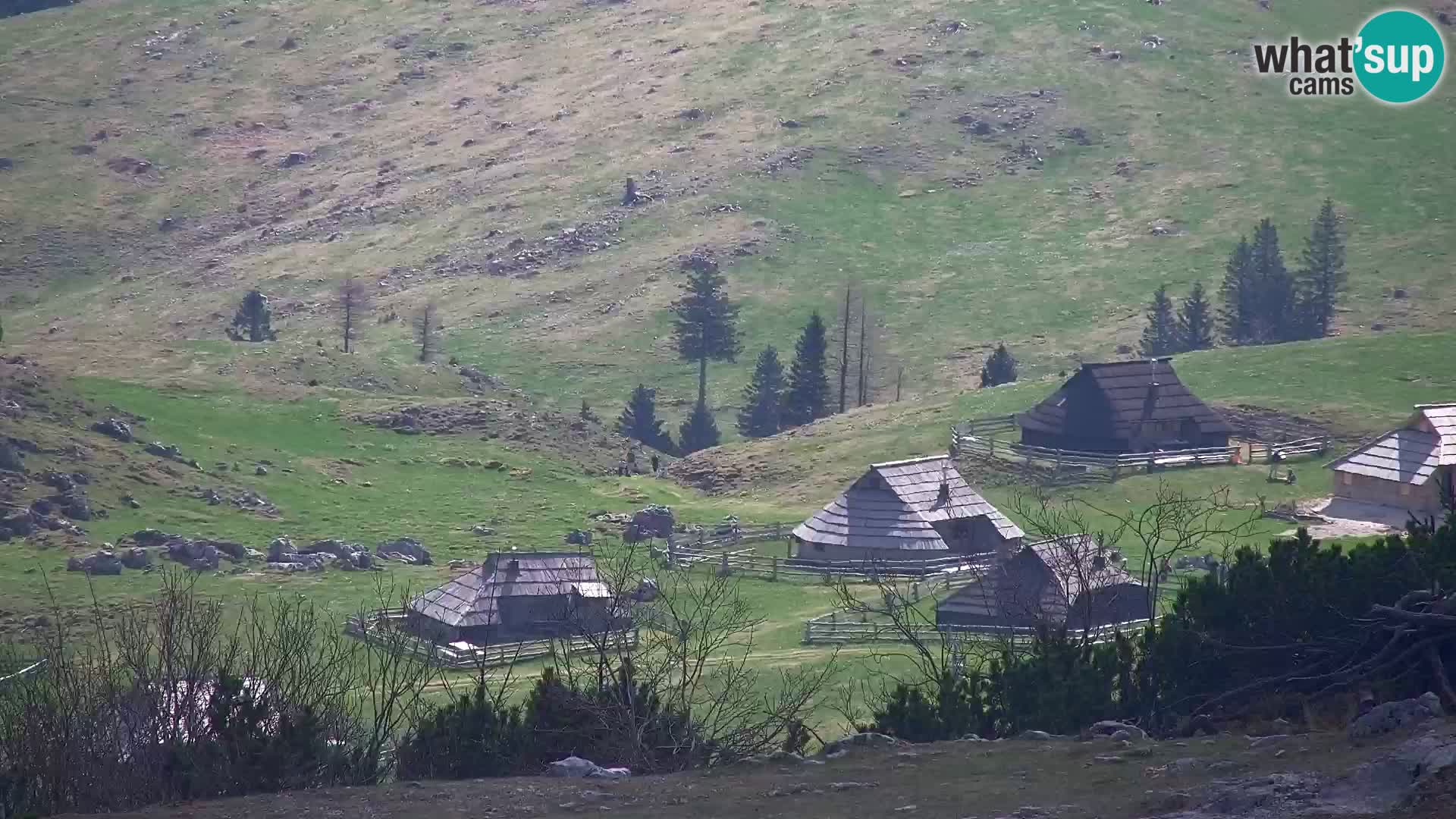Velika Planina | Gradišče