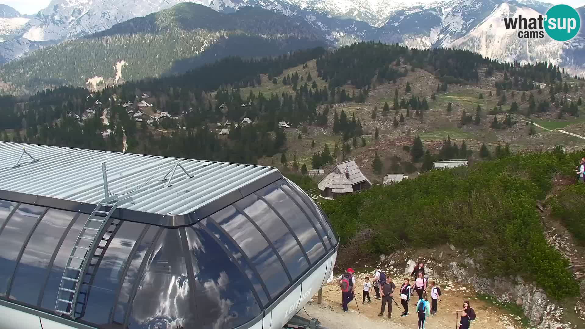 Velika Planina | Gradišče