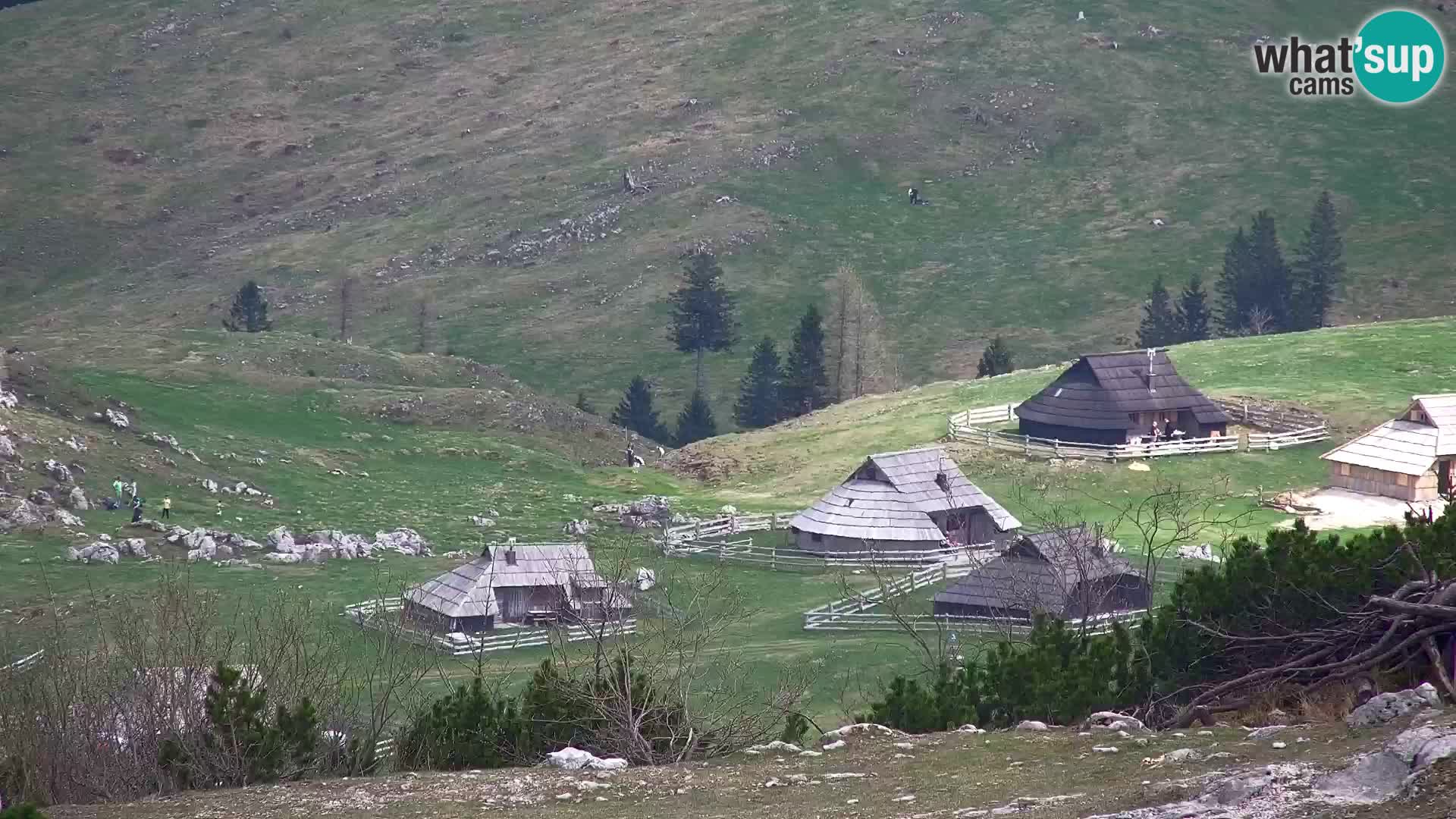 Velika Planina | Gradišče