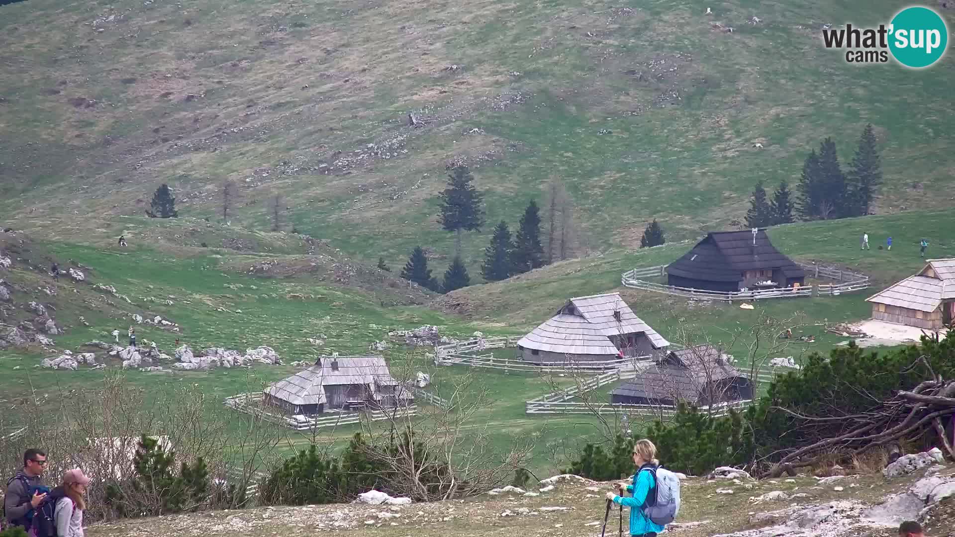 Velika Planina | Gradišče