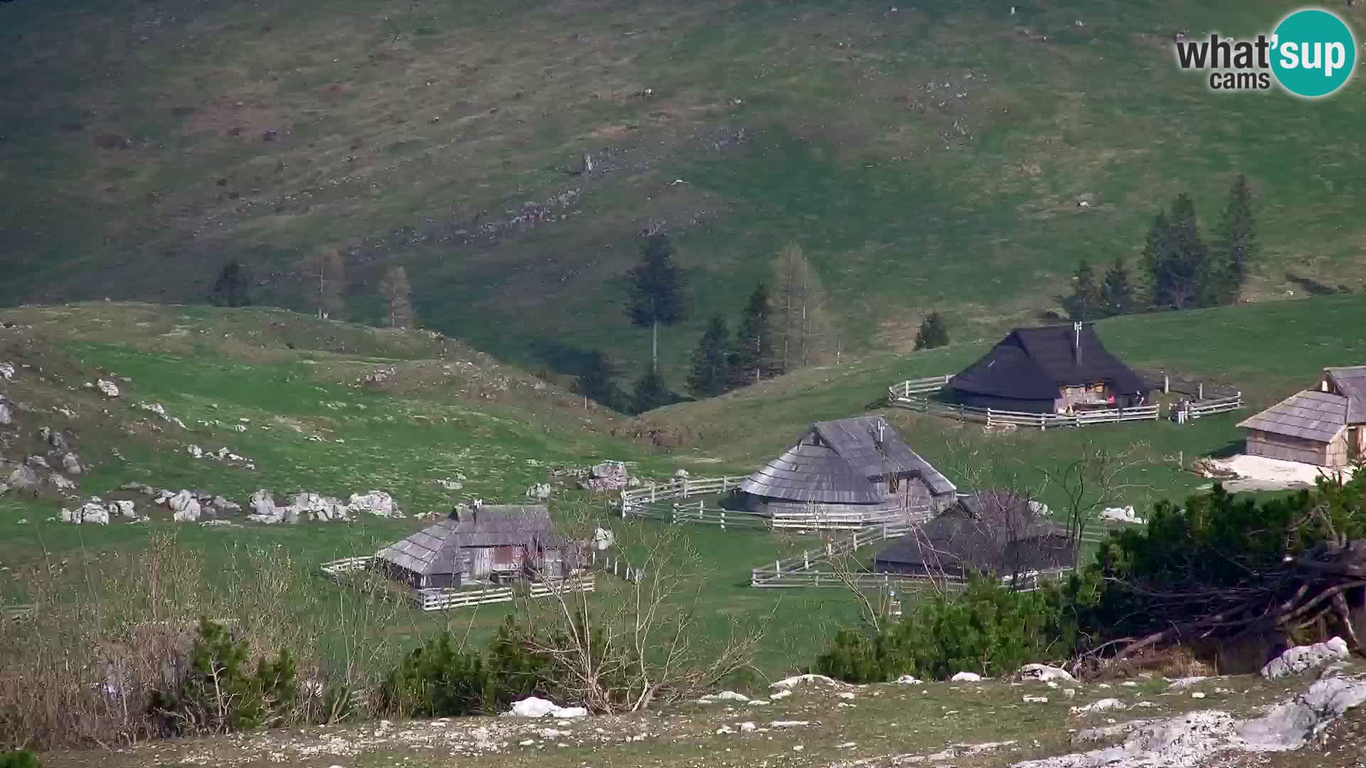 Velika Planina | Gradišče