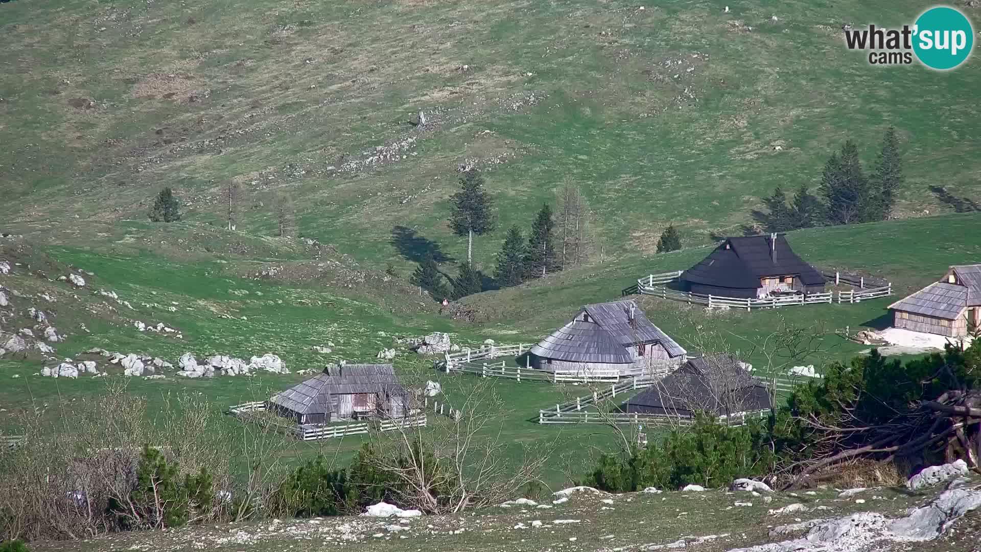 Velika Planina | Gradišče