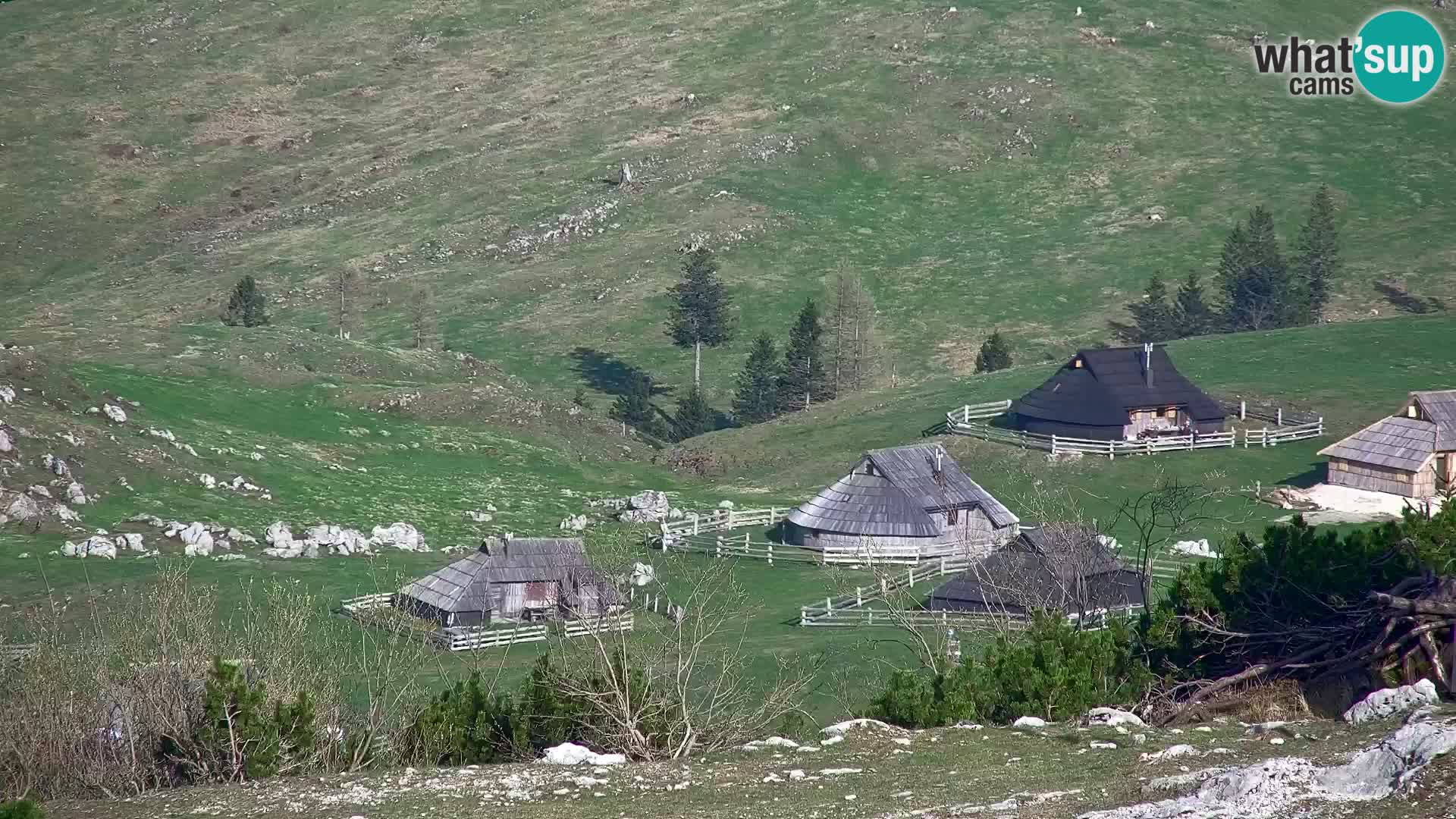 Velika Planina | Gradišče