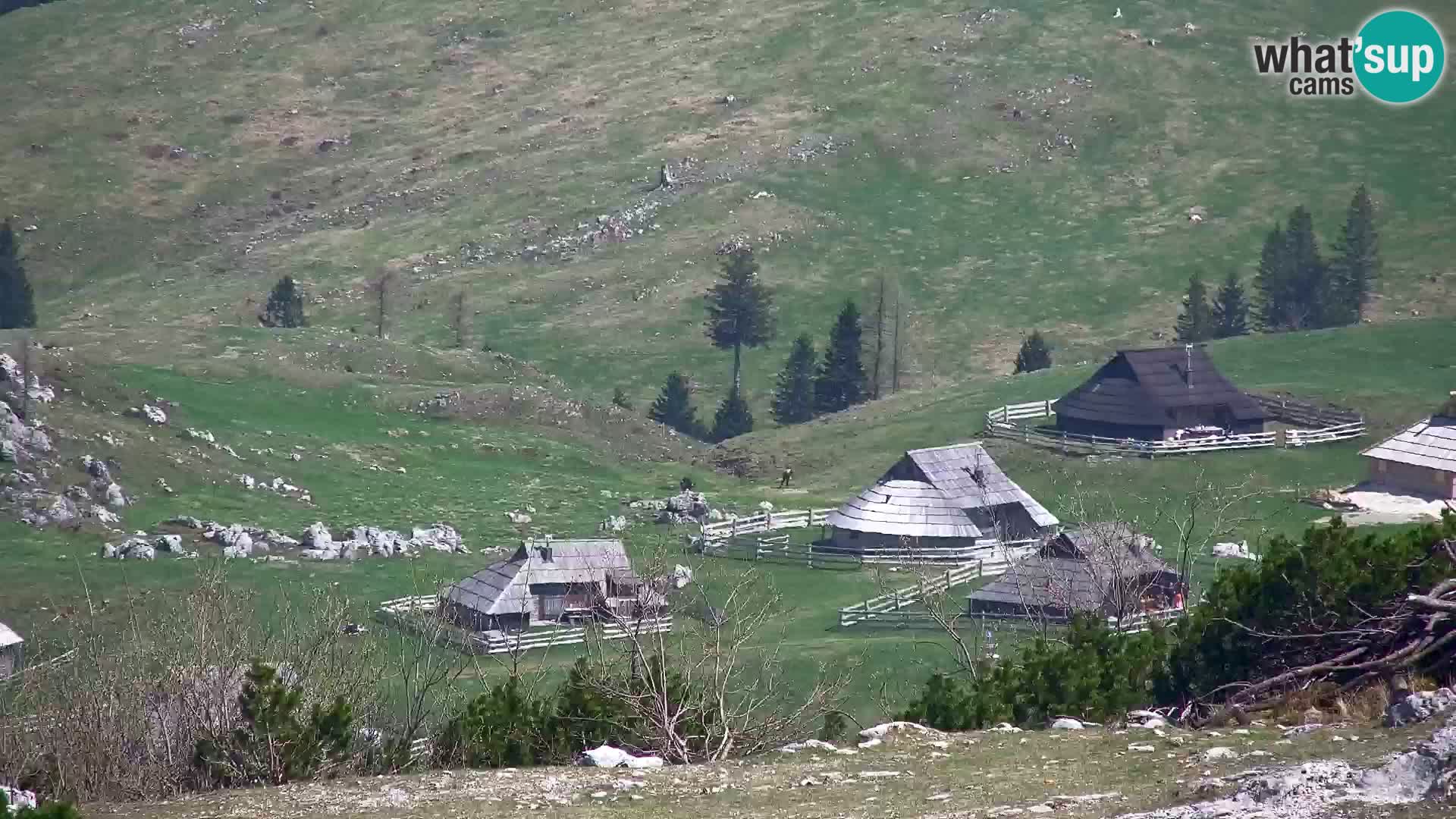Velika Planina | Gradišče