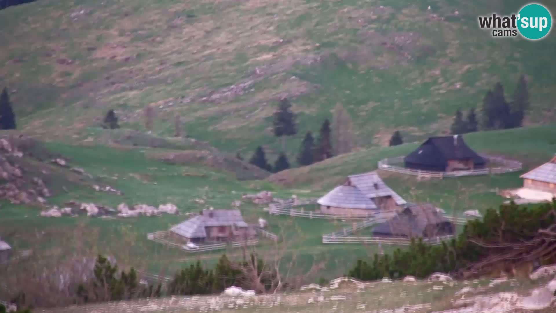 Velika Planina | Gradišče