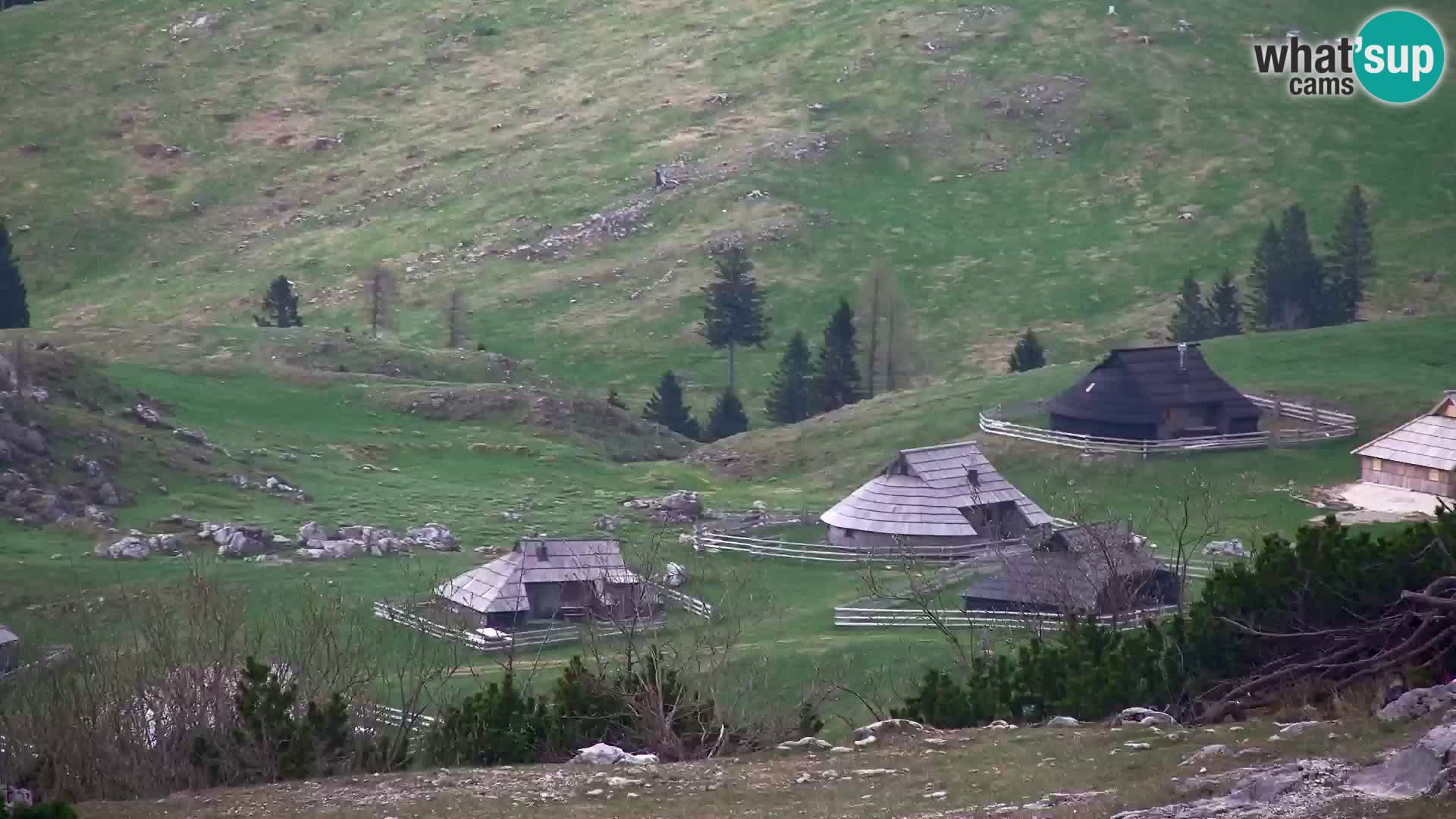 Velika Planina | Gradišče