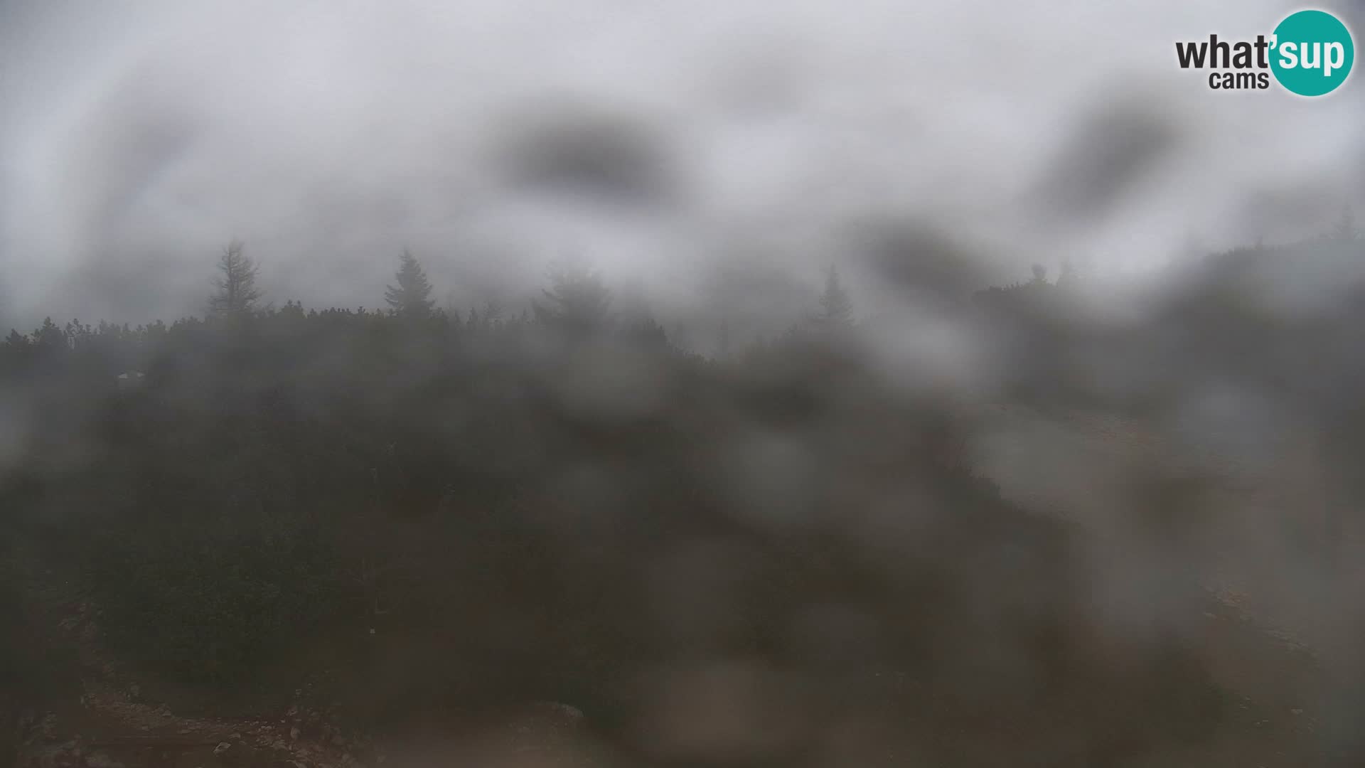 Velika Planina | Gradišče