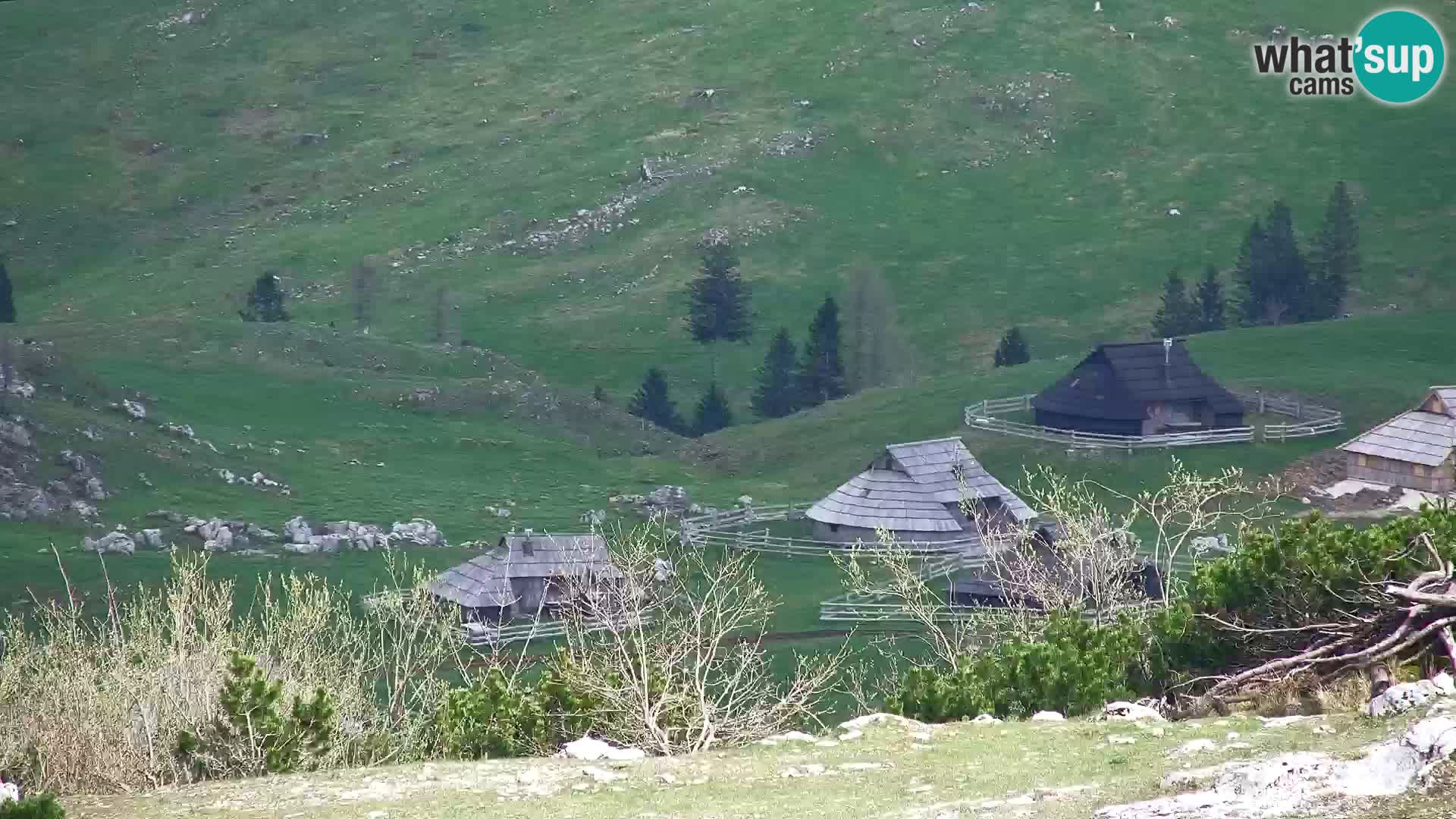 Velika Planina | Gradišče