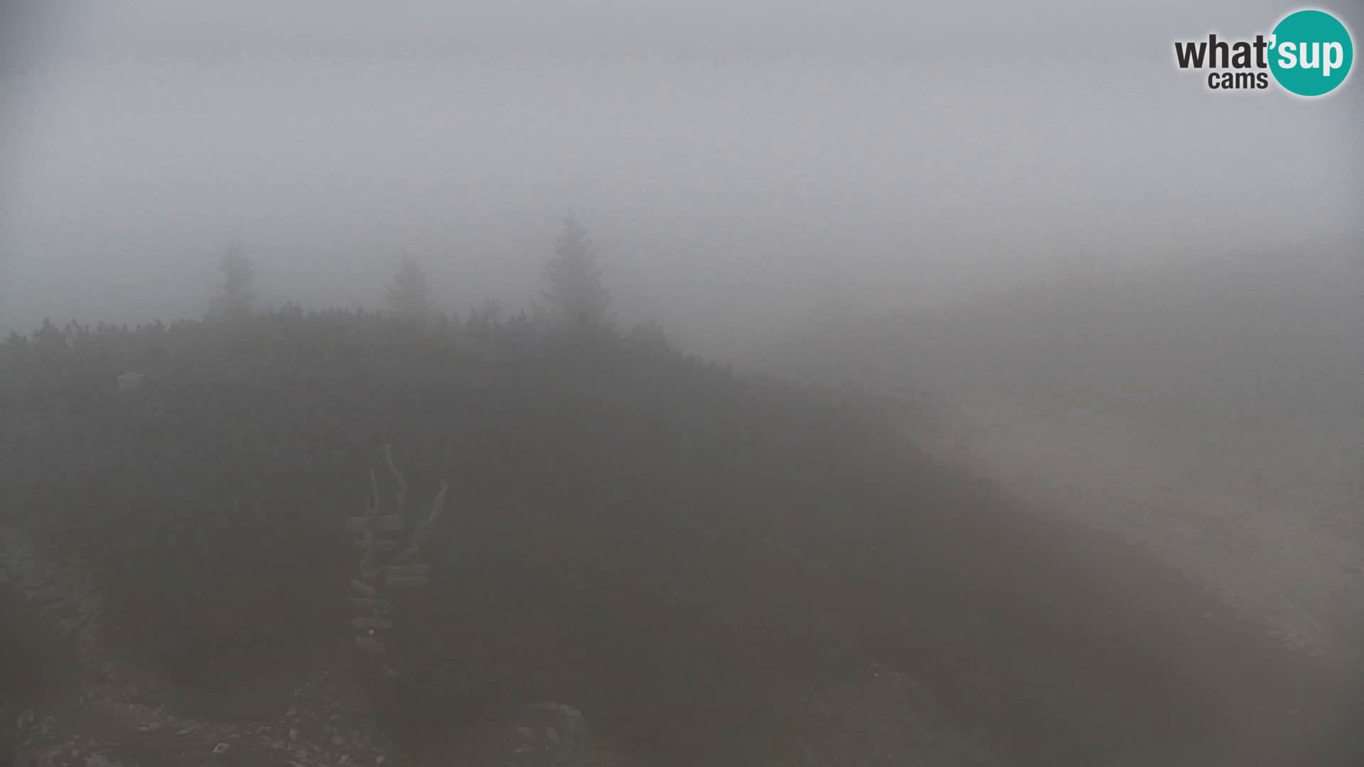 Velika Planina | Gradišče