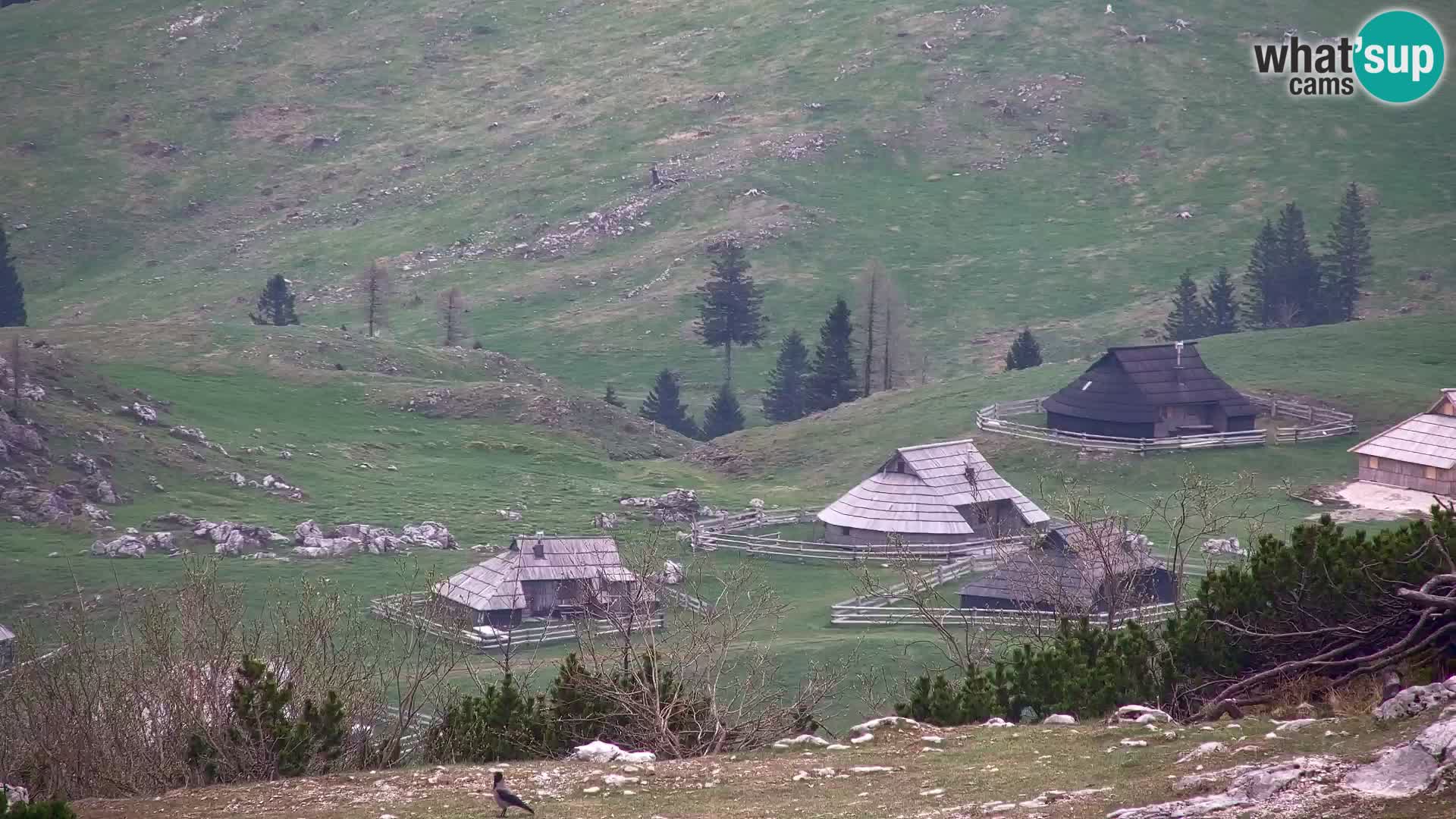 Velika Planina | Gradišče