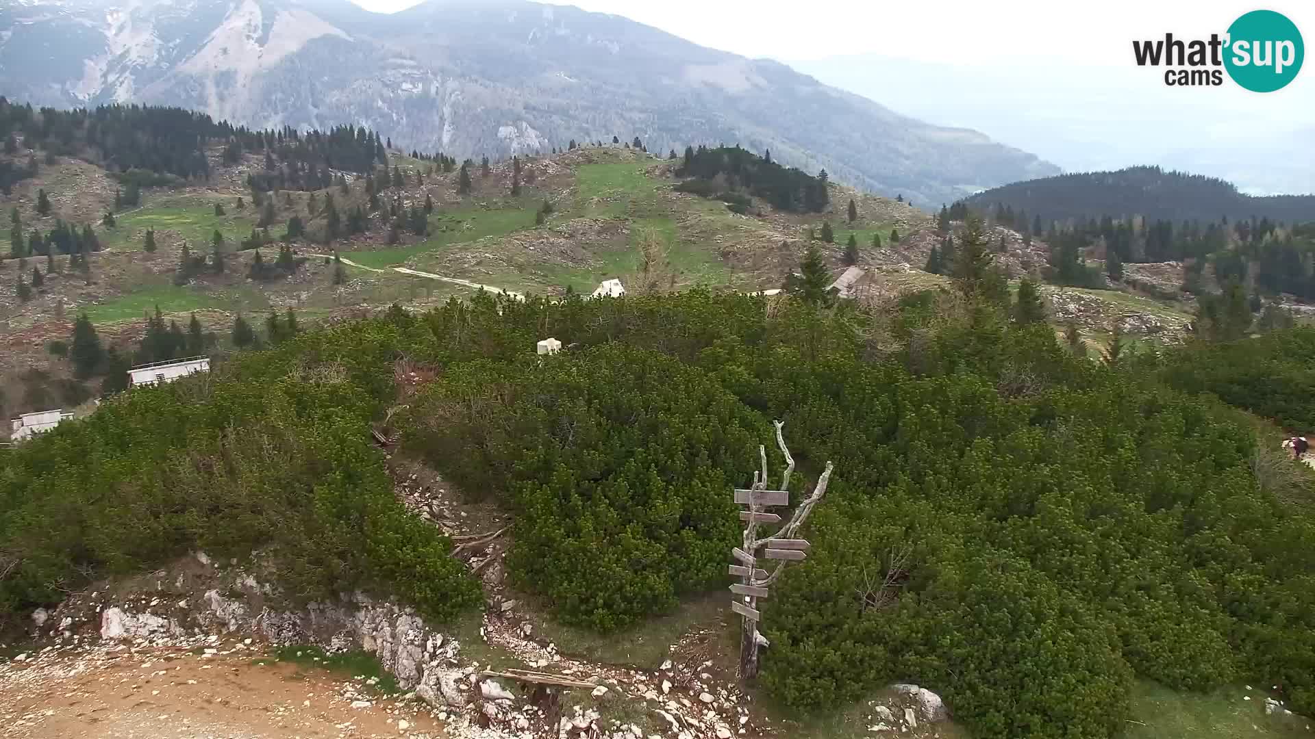 Velika Planina | Gradišče
