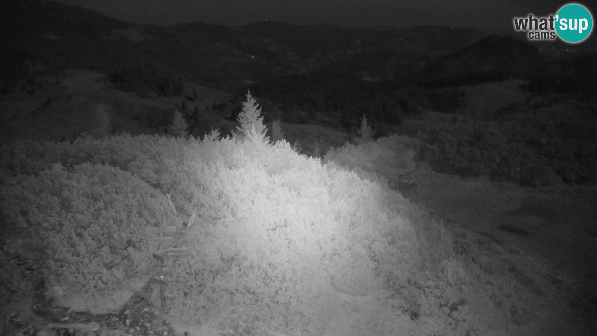 Velika Planina | Gradišče