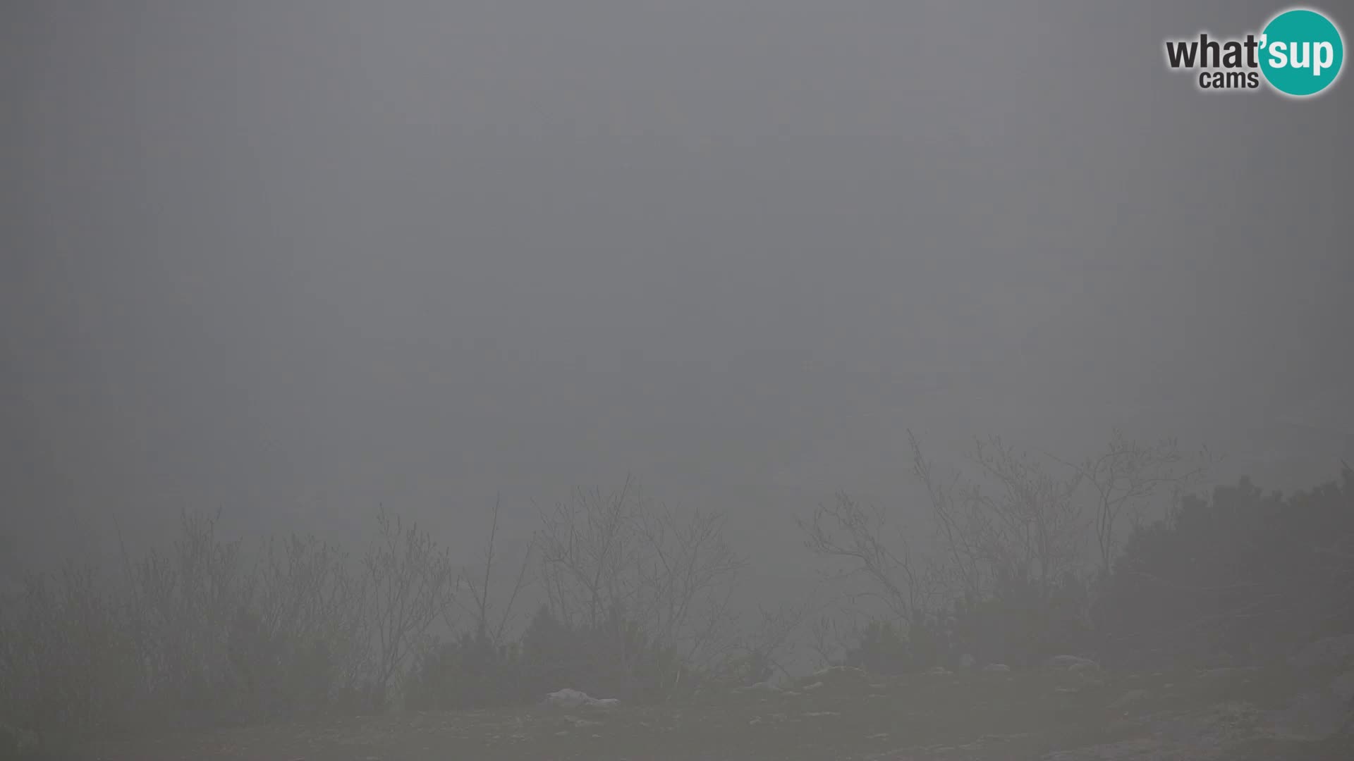 Velika Planina | Gradišče