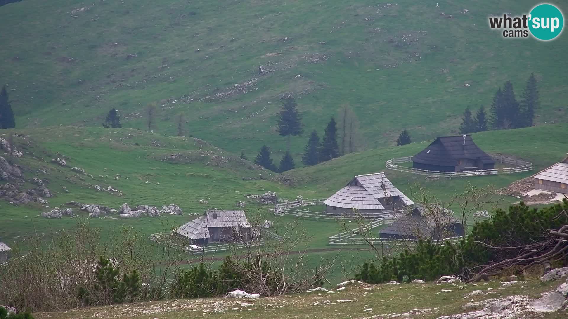 Velika Planina | Gradišče