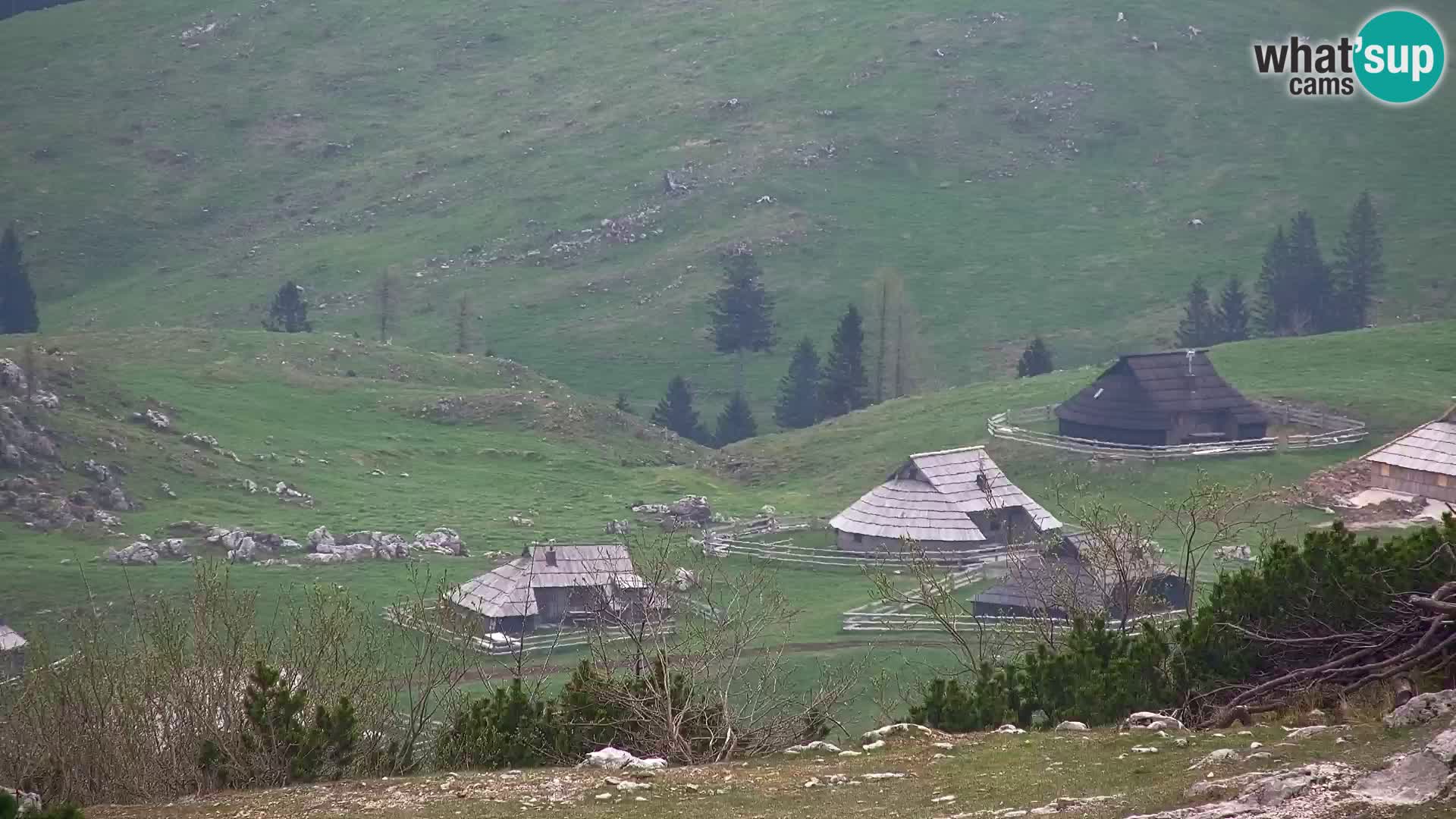 Velika Planina | Gradišče