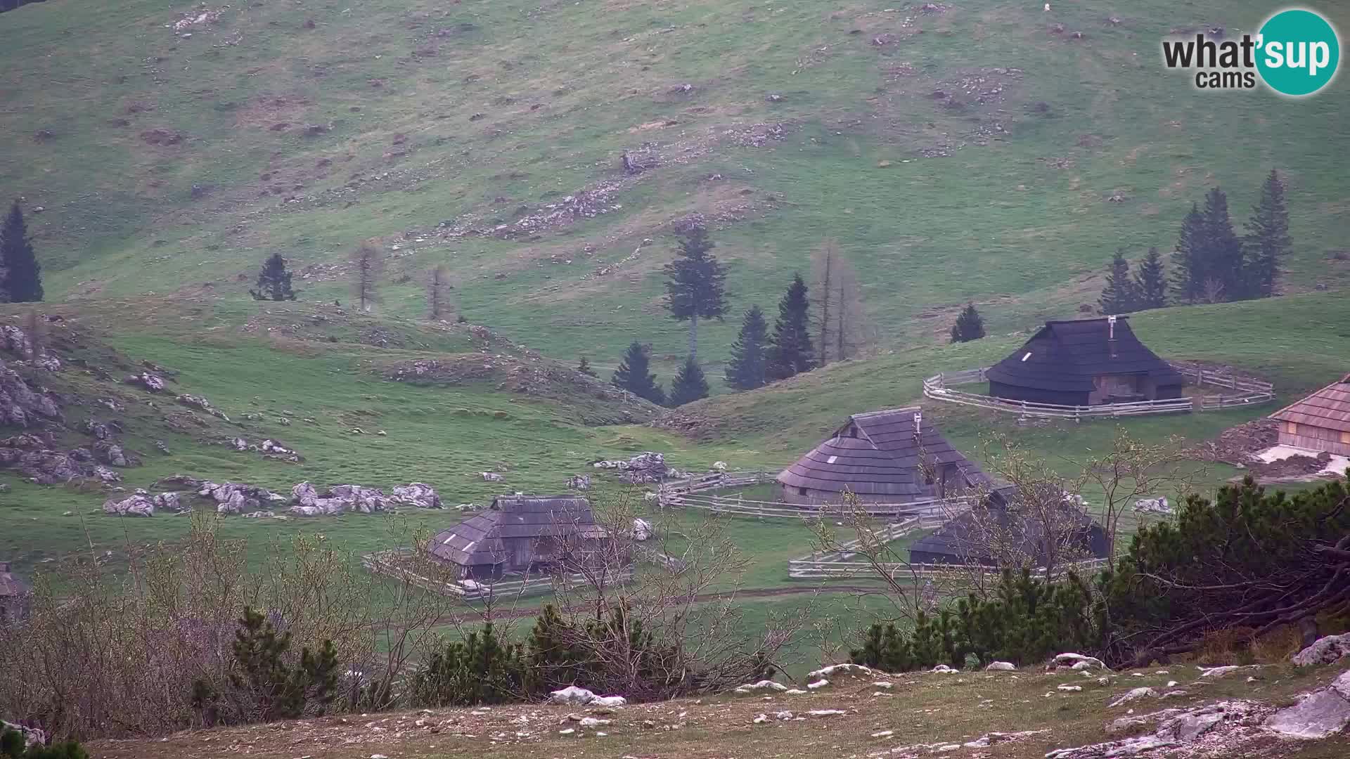 Velika Planina | Gradišče