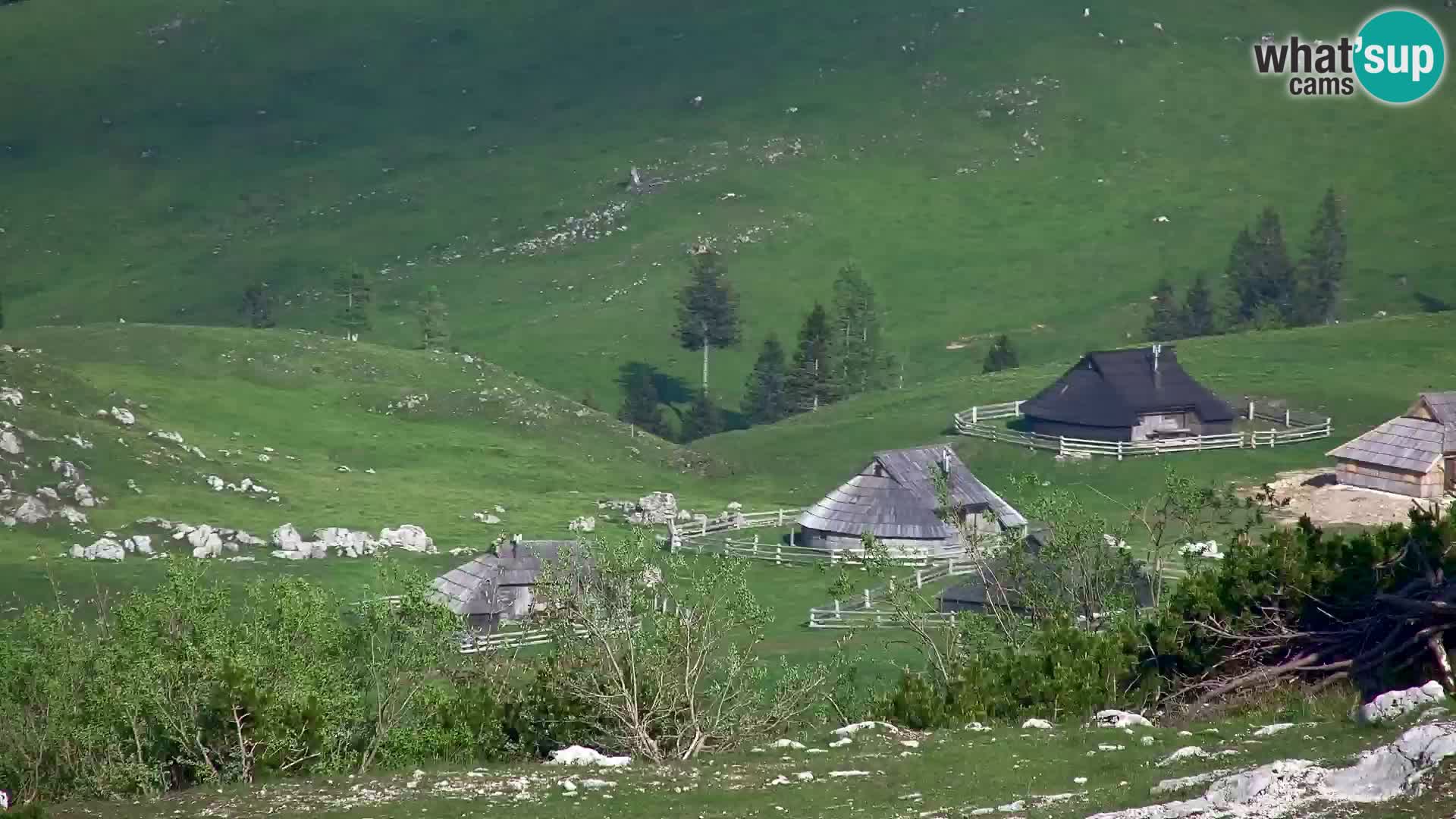 Velika Planina | Gradišče