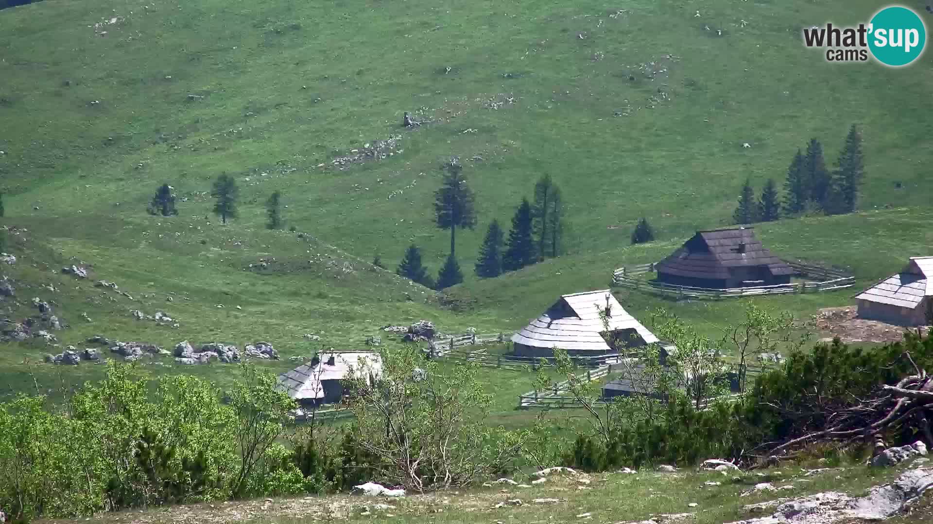 Velika Planina | Gradišče