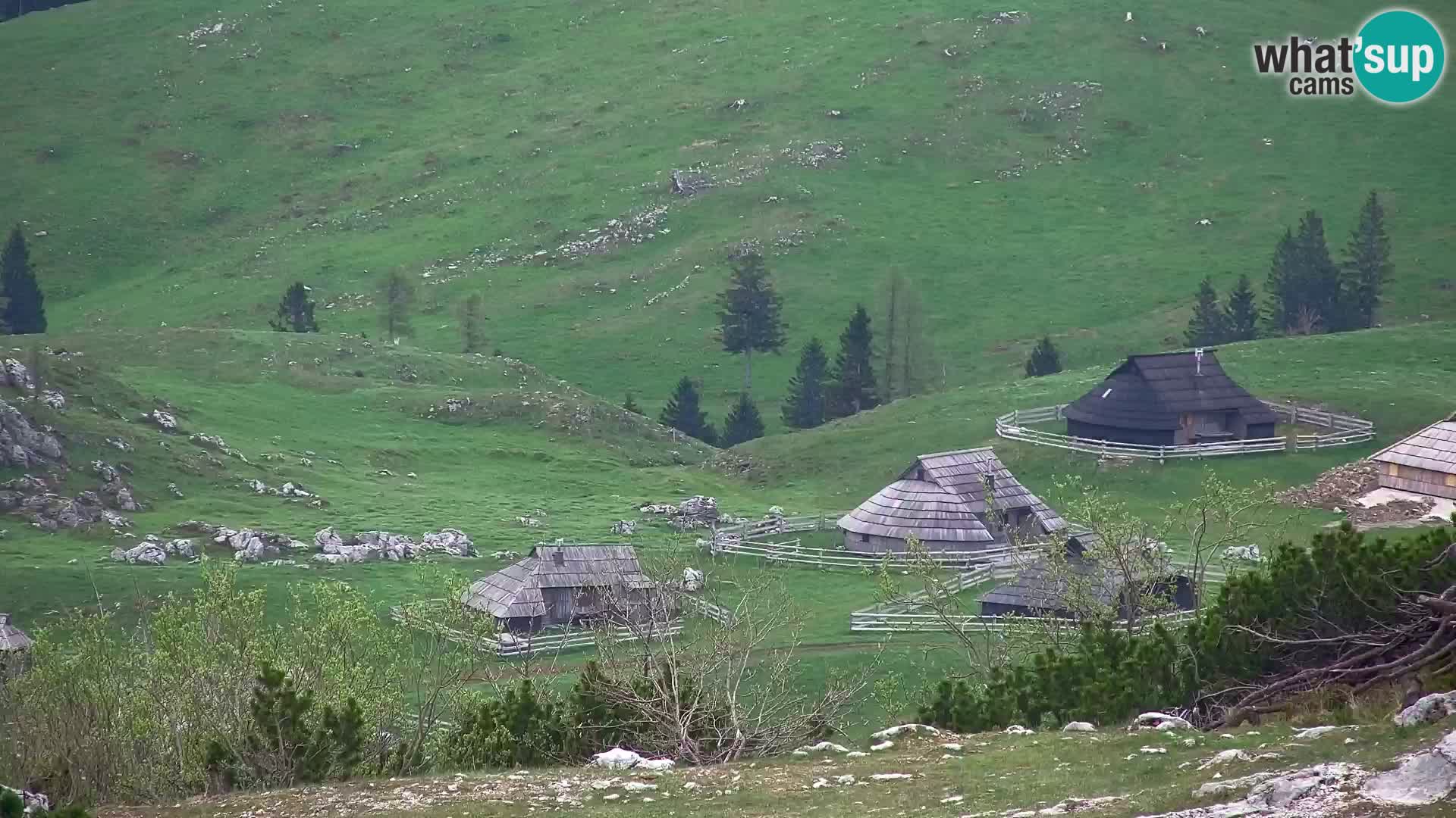Velika Planina | Gradišče