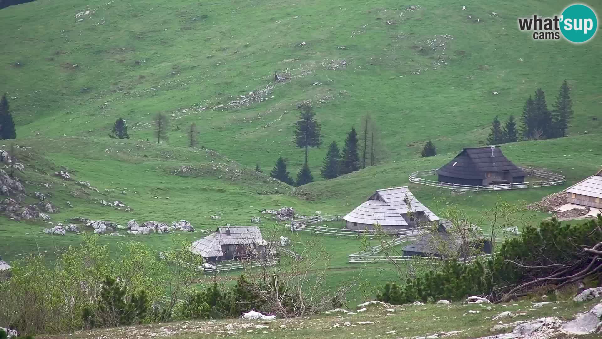 Velika Planina | Gradišče