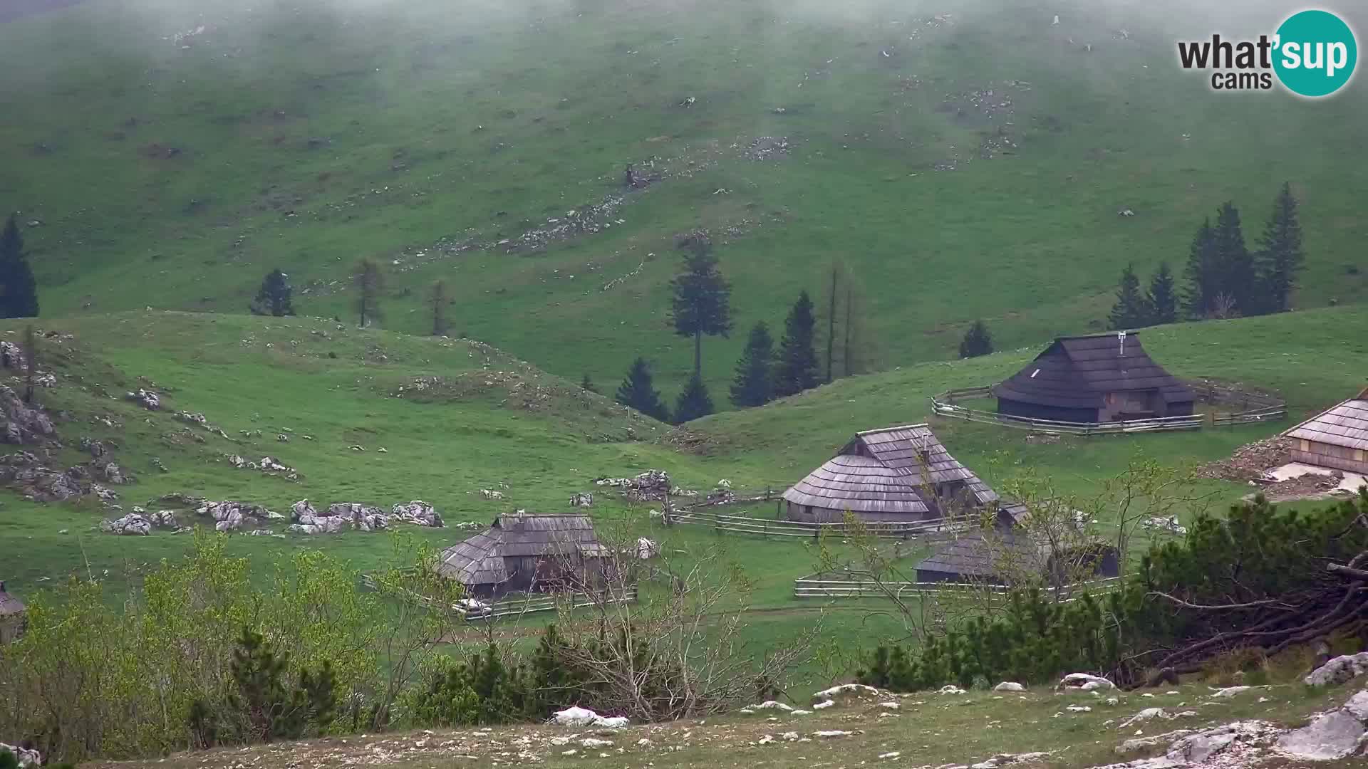Velika Planina | Gradišče