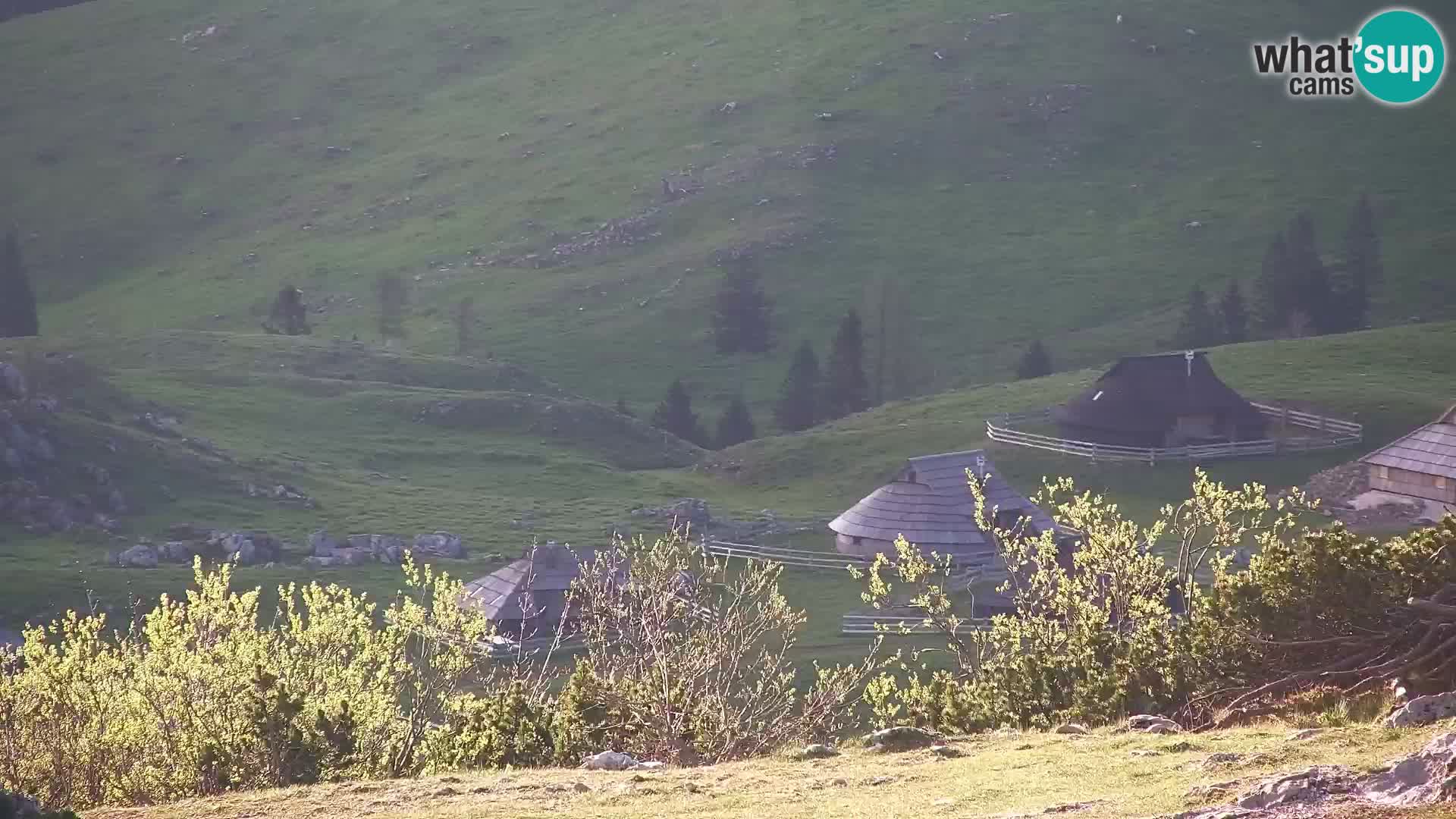 Velika Planina | Gradišče