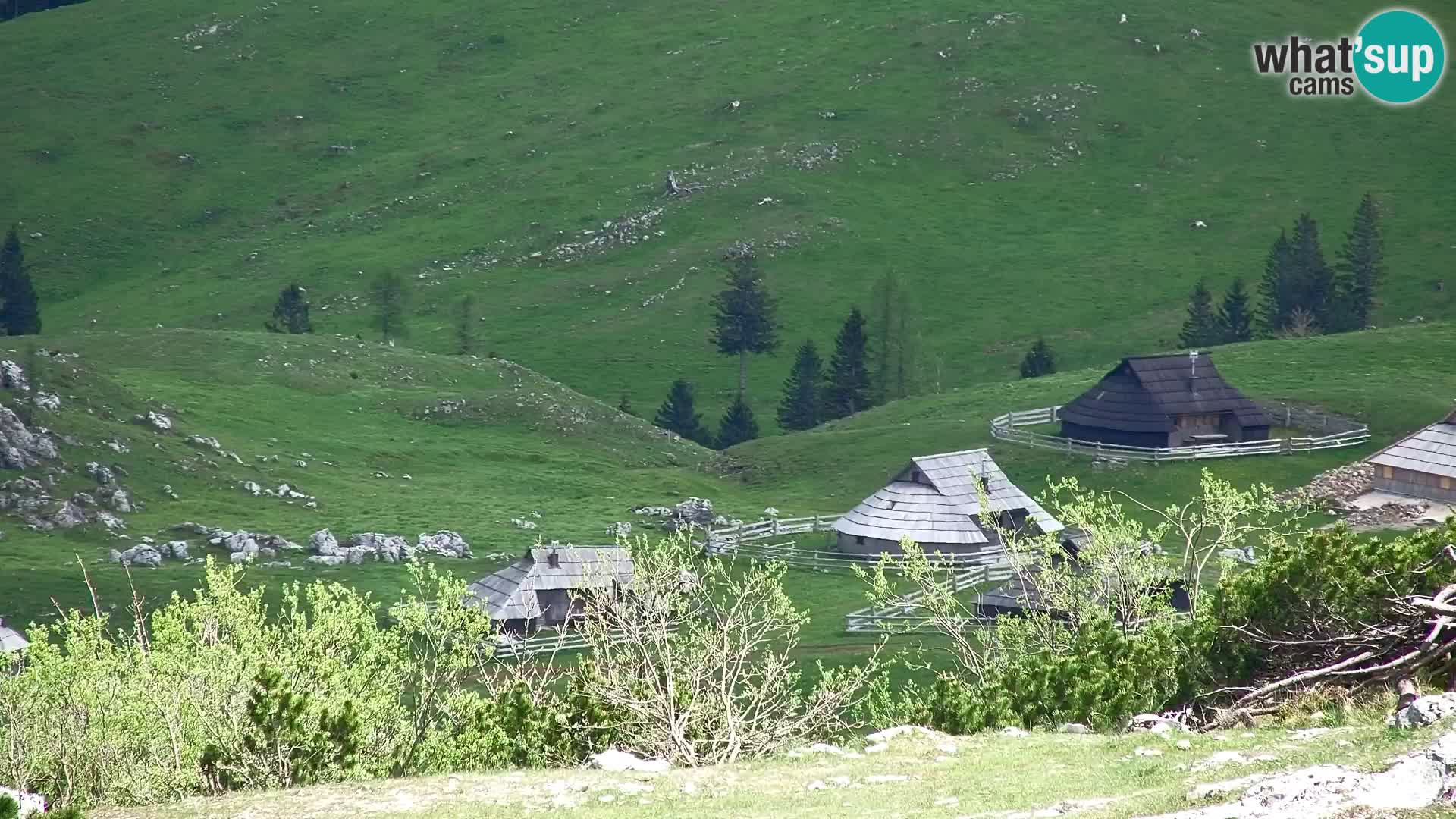Velika Planina | Gradišče
