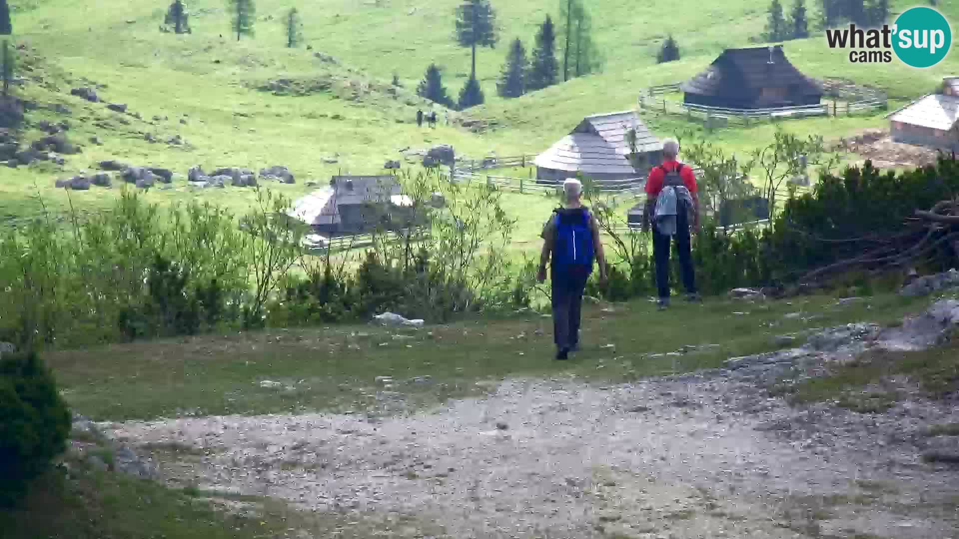 Velika Planina | Gradišče
