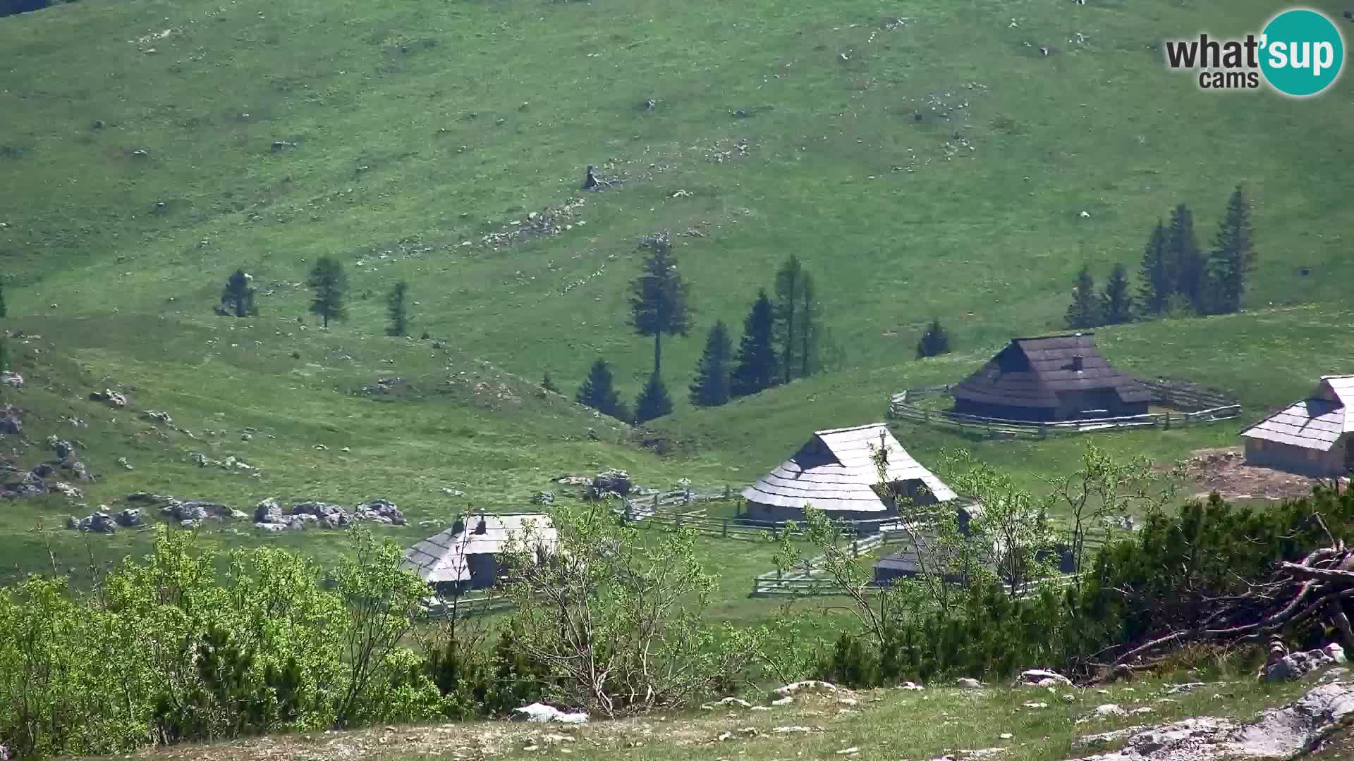 Velika Planina | Gradišče