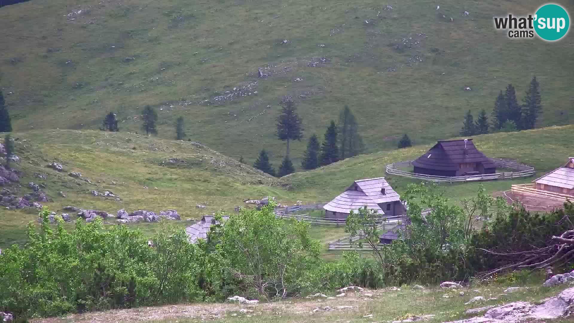 Velika Planina | Gradišče