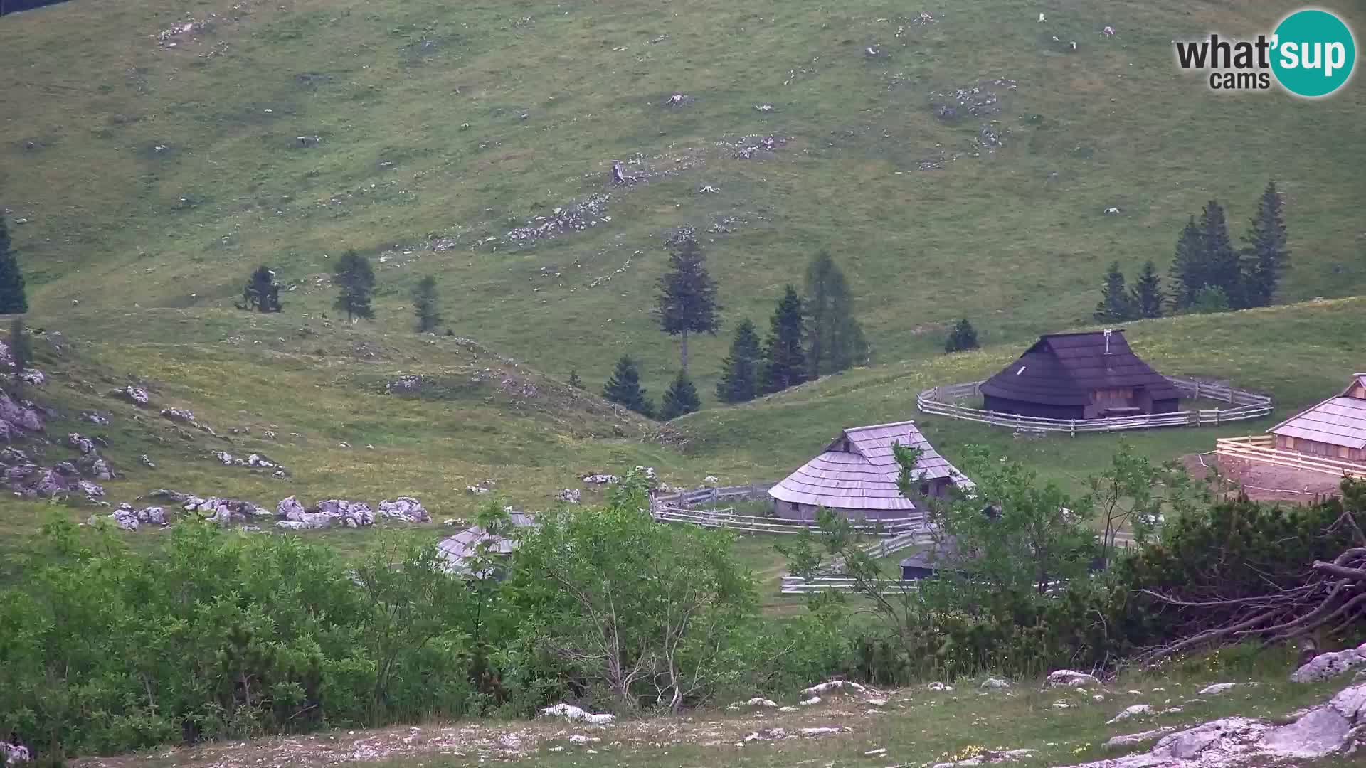 Velika Planina | Gradišče