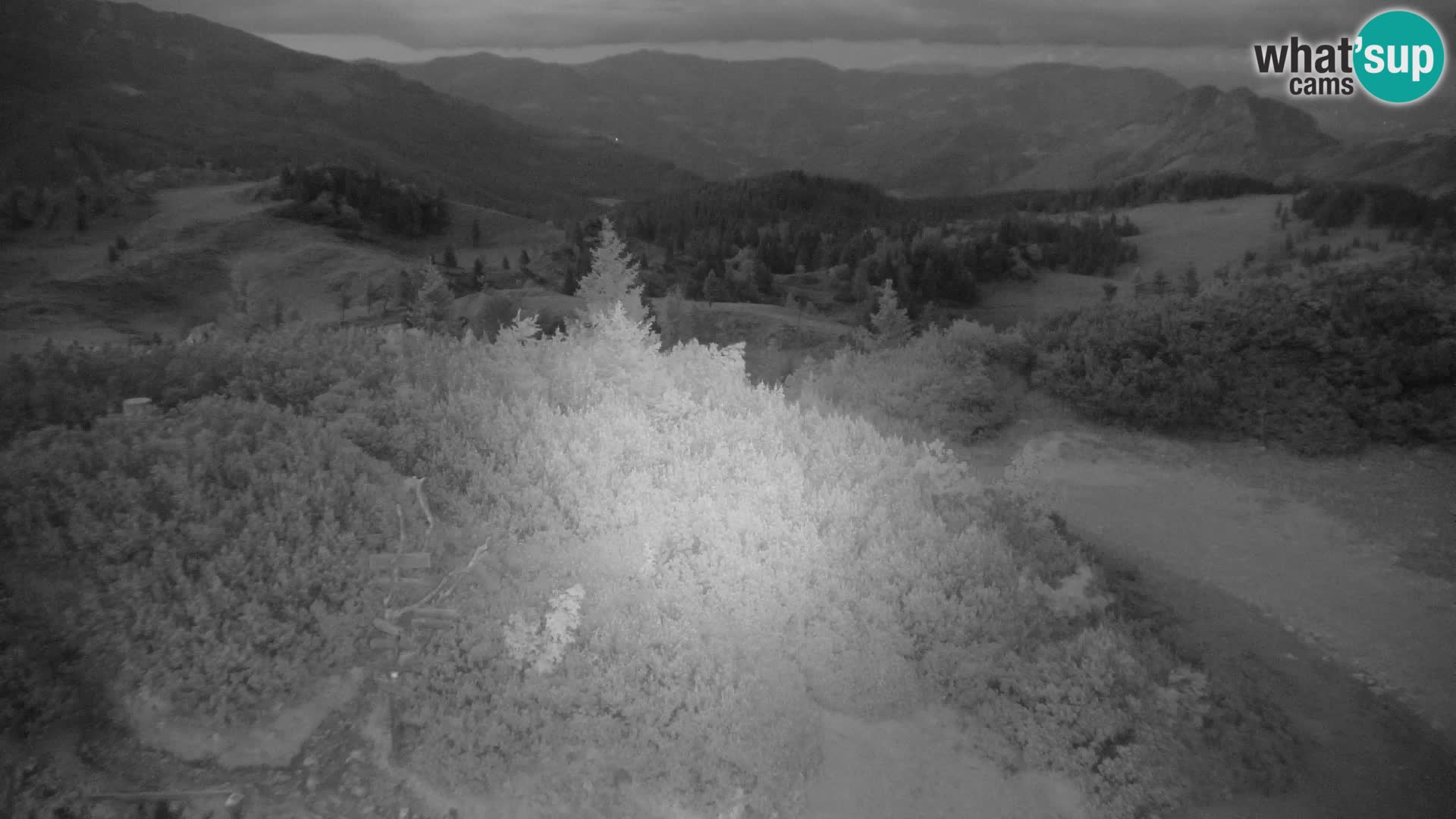 Velika Planina | Gradišče