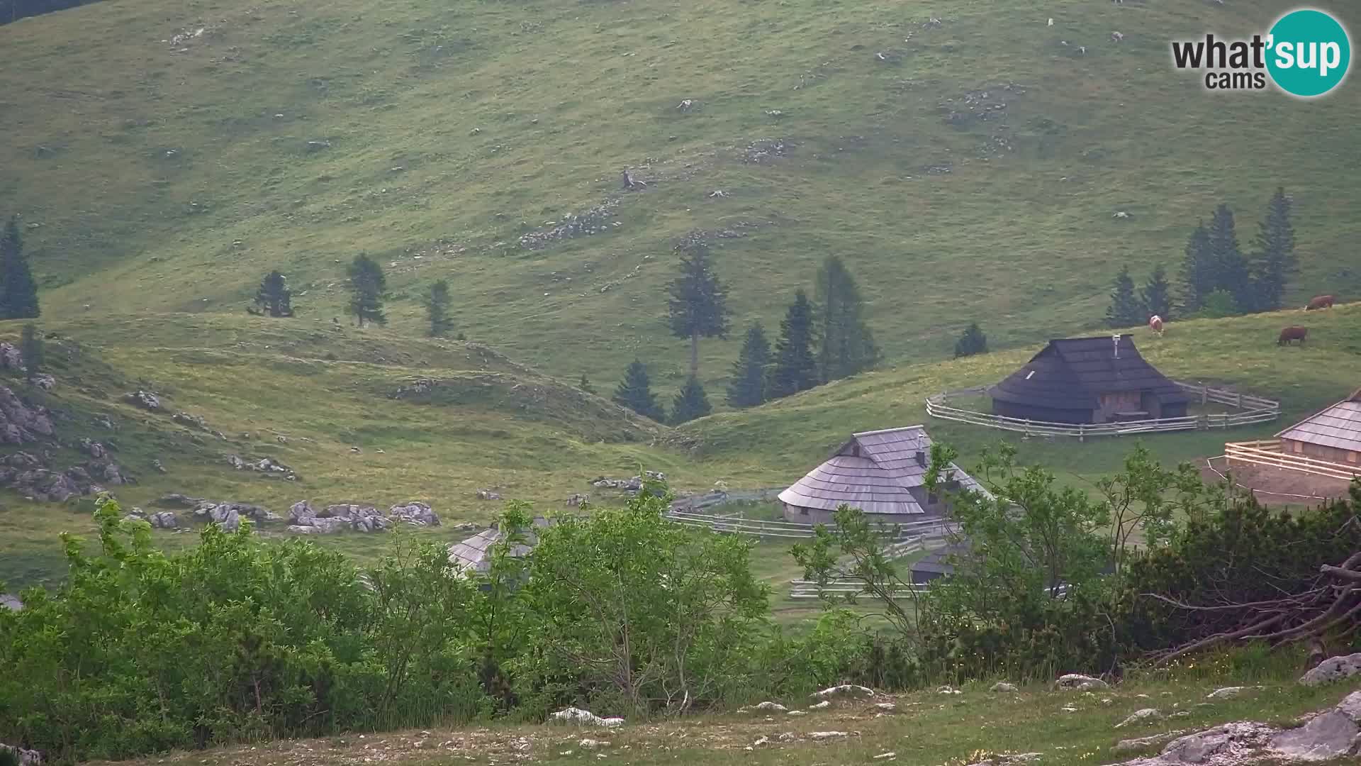 Velika Planina | Gradišče