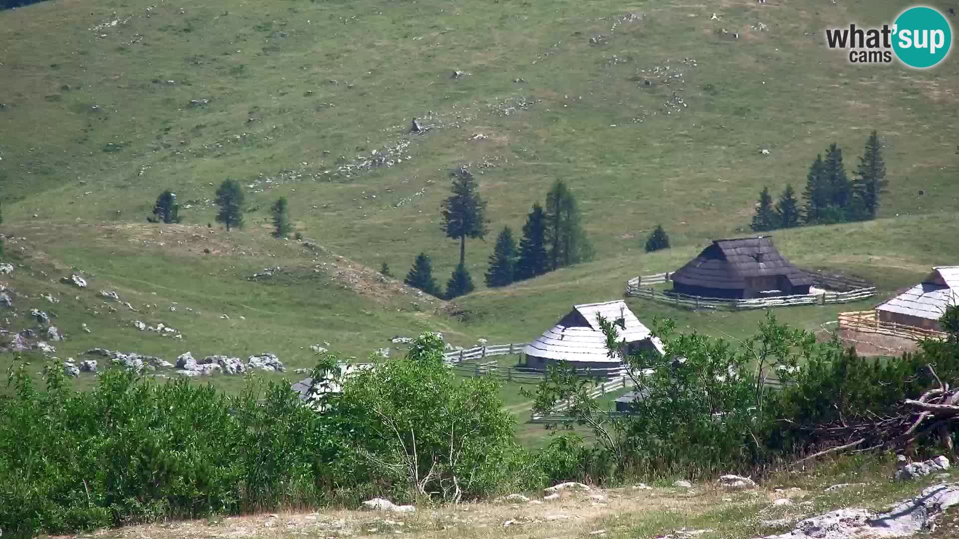 Velika Planina | Gradišče